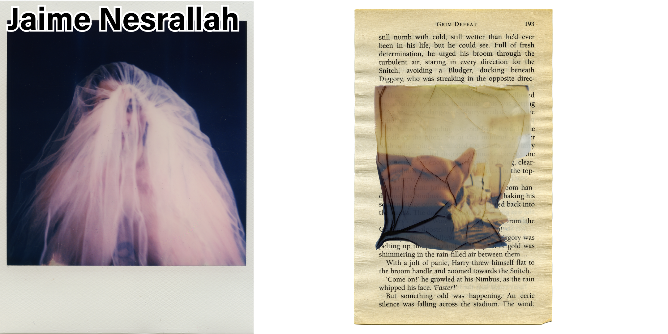 ...."poison oak (grim defeat)" by Jaime Nesrallah. Polaroid emulsion lift on appropriated paper, printed on archival cotton rag, 11 x 14" .."poison oak (grim defeat)" par Jaime Nesrallah. Émulsion polaroïd liftée sur papier approprié, imprimée sur ch