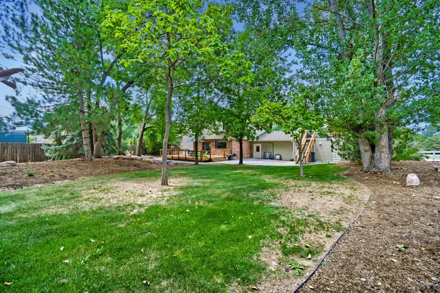 Backyard 4.jpg