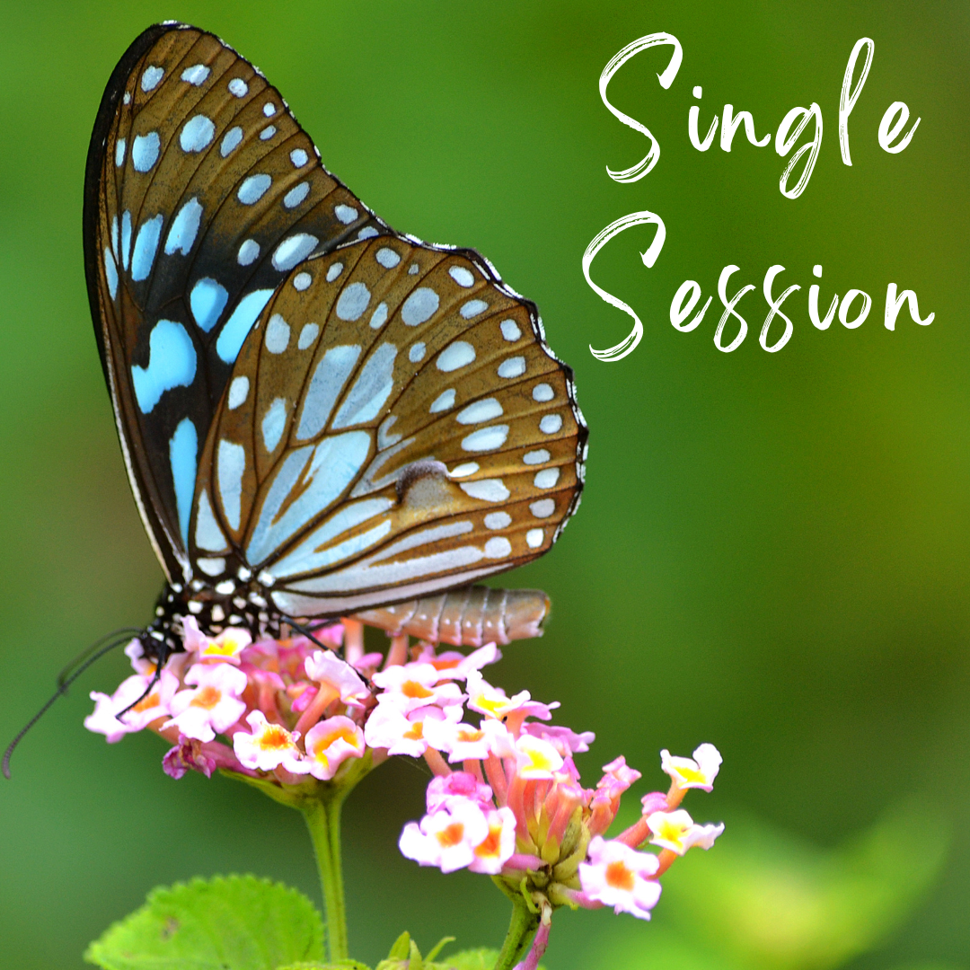 3 Session Package (1).png