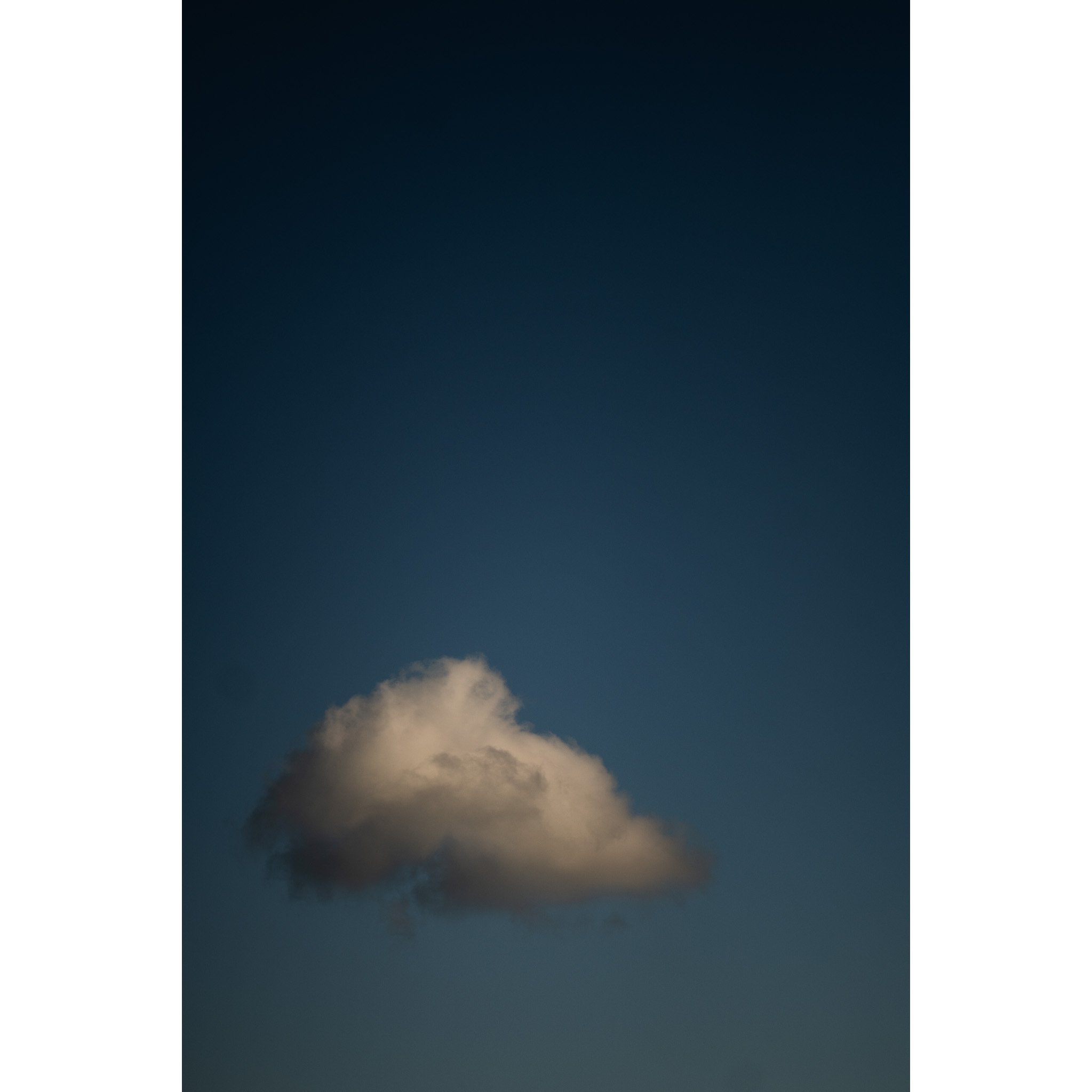 IMG_3411.jpeg