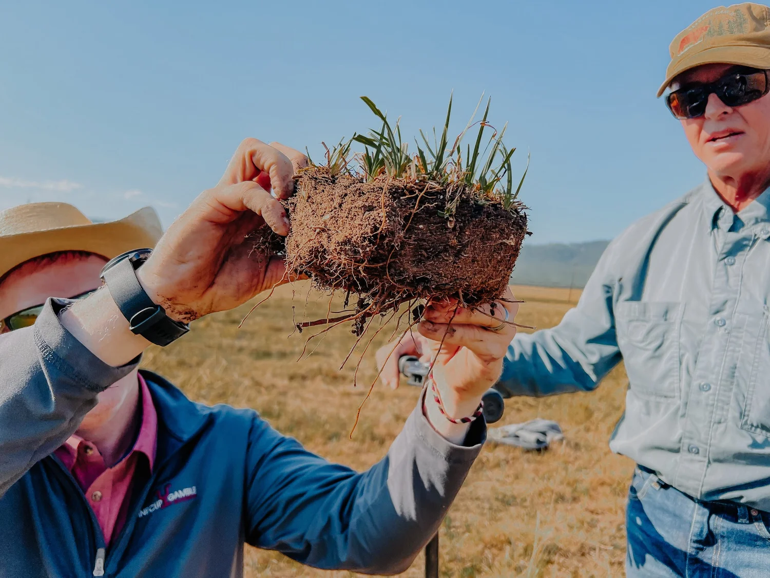 Regrow Ranchers Regenerative Ranching — Sustainable Northwest