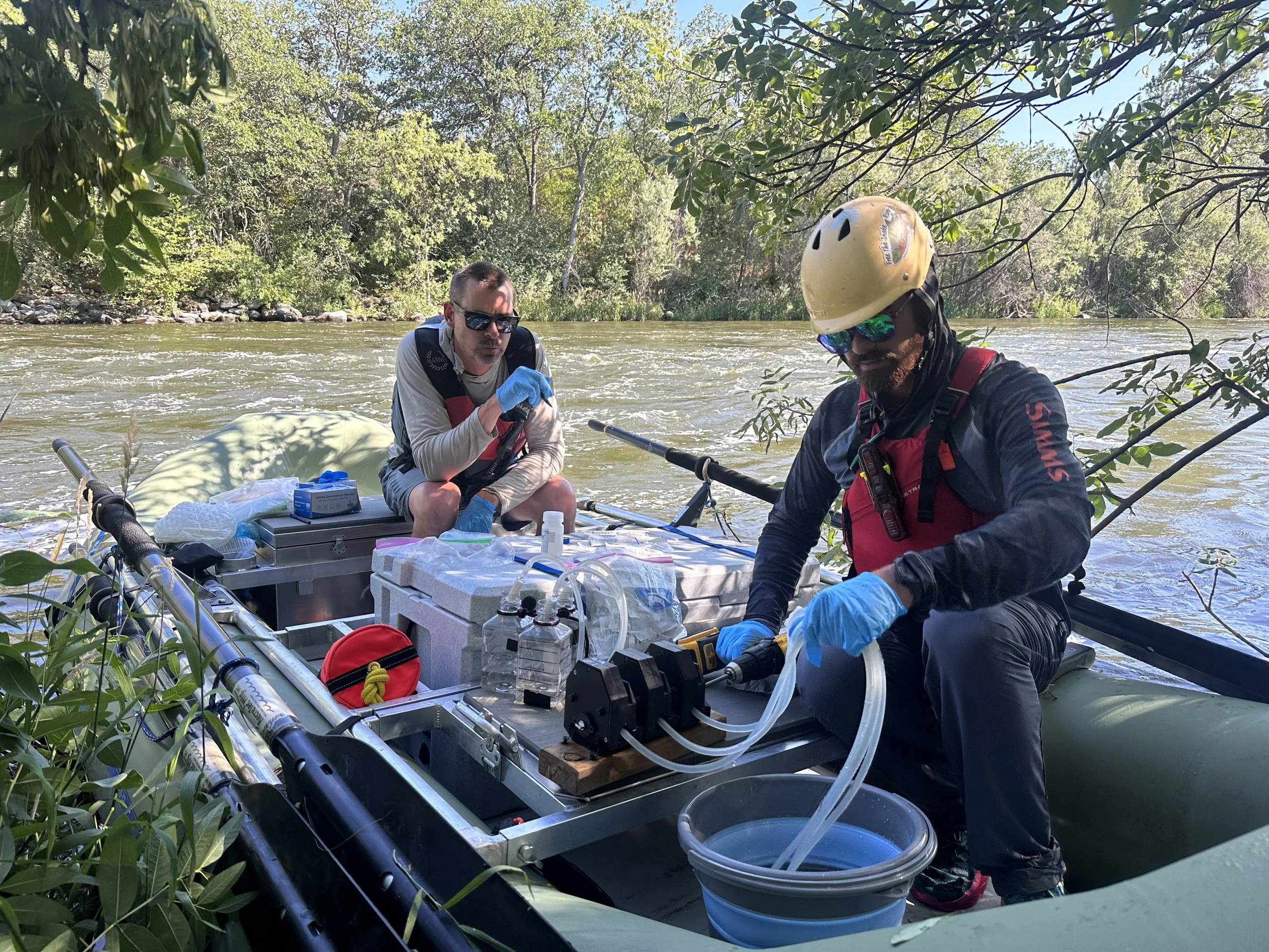 RES genetic sampling along Klamath River - credit RES.JPG