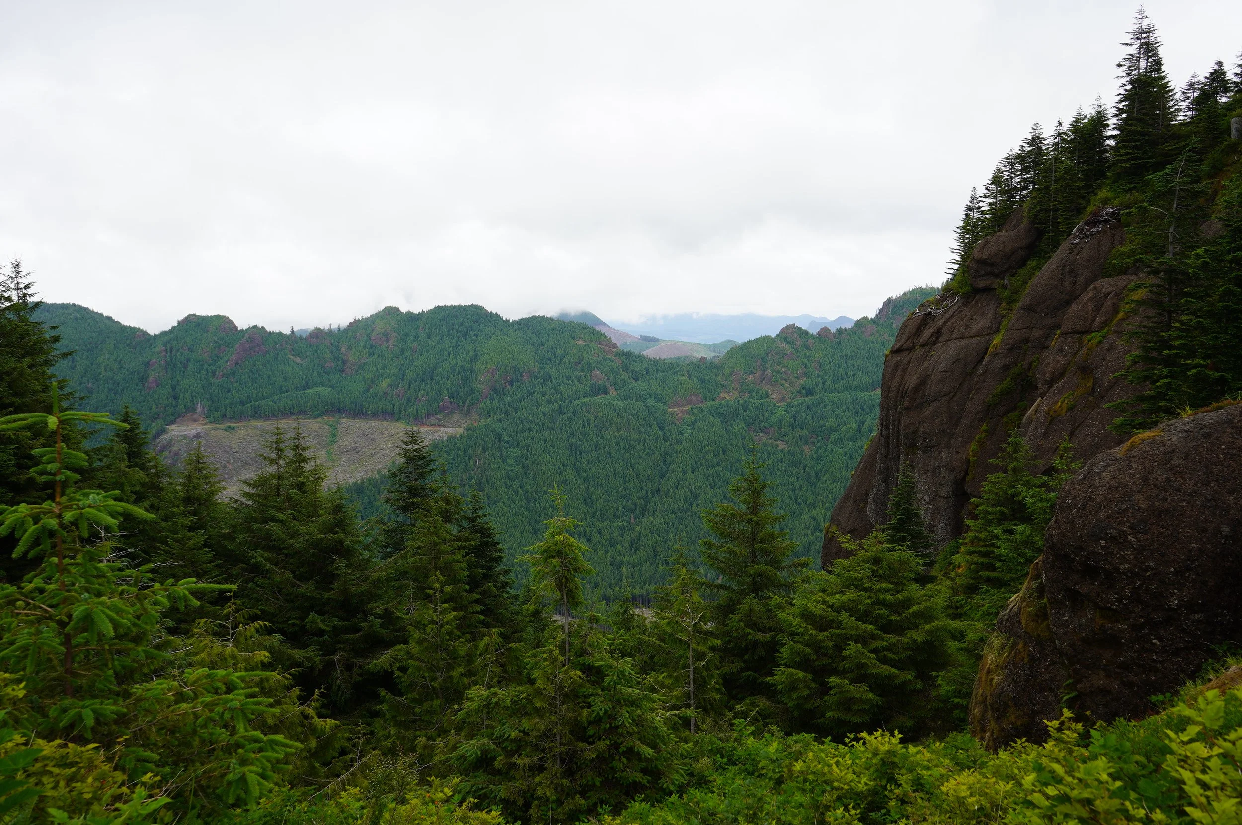 SNW00854.JPG