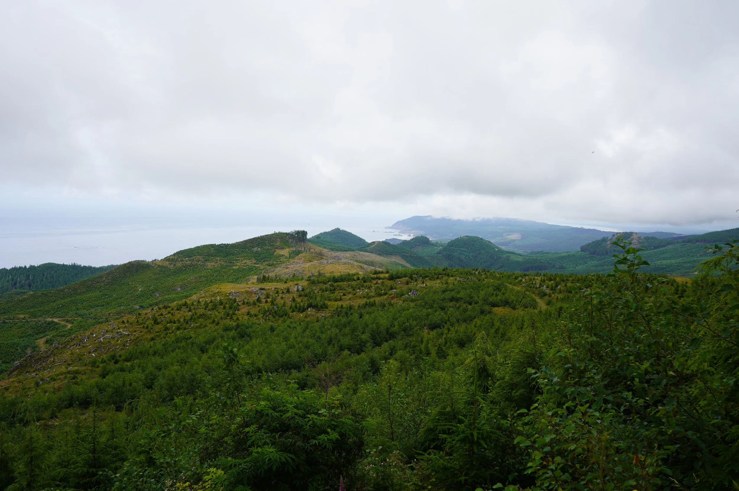 SNW00886.JPG