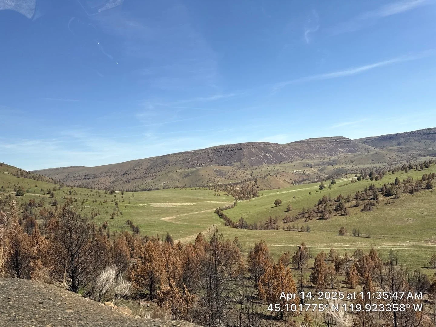 Viewing area in 2025, lone rock fire burned in 2024, photo by Norie of Gilliam SWCD -2.jpg