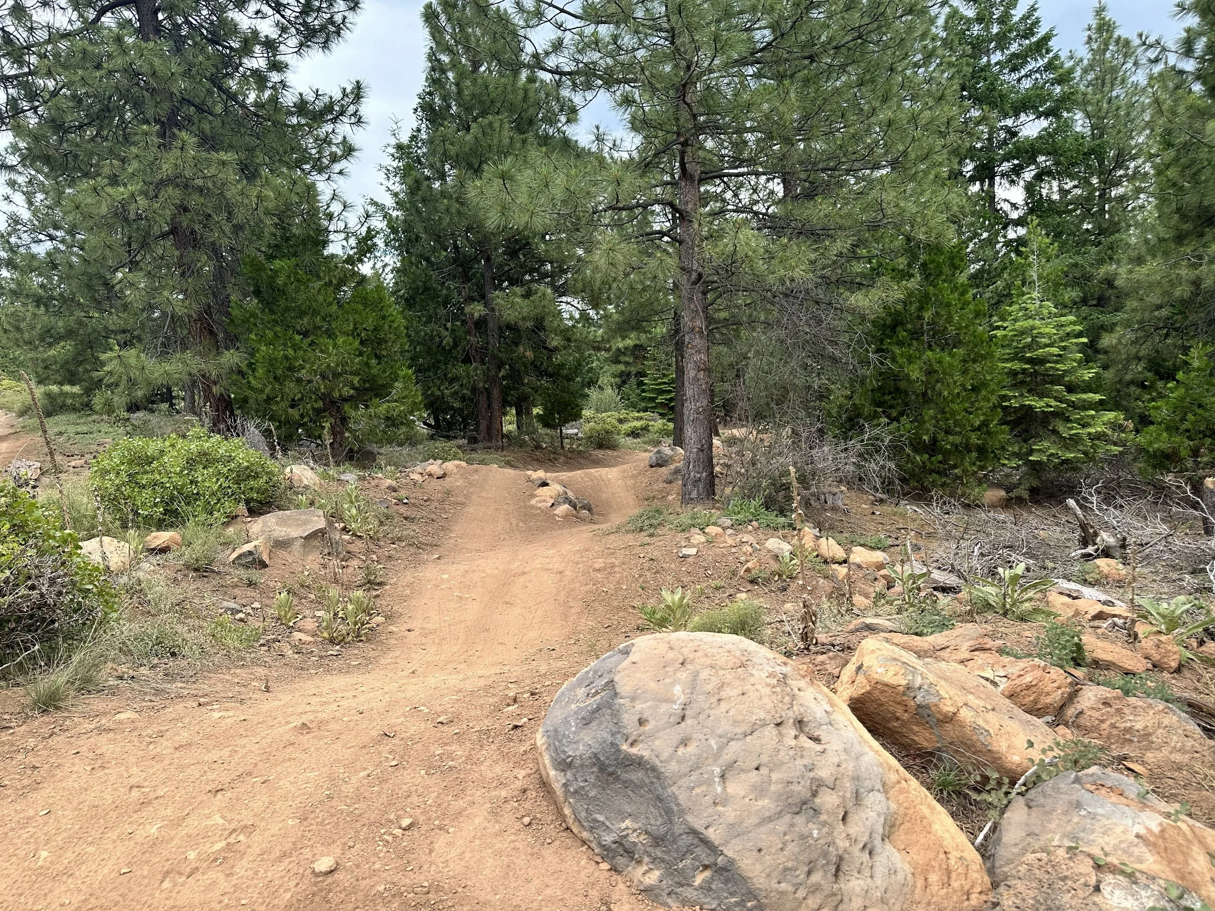 Spence Mountain Community Forest, Klamath County, Oregon