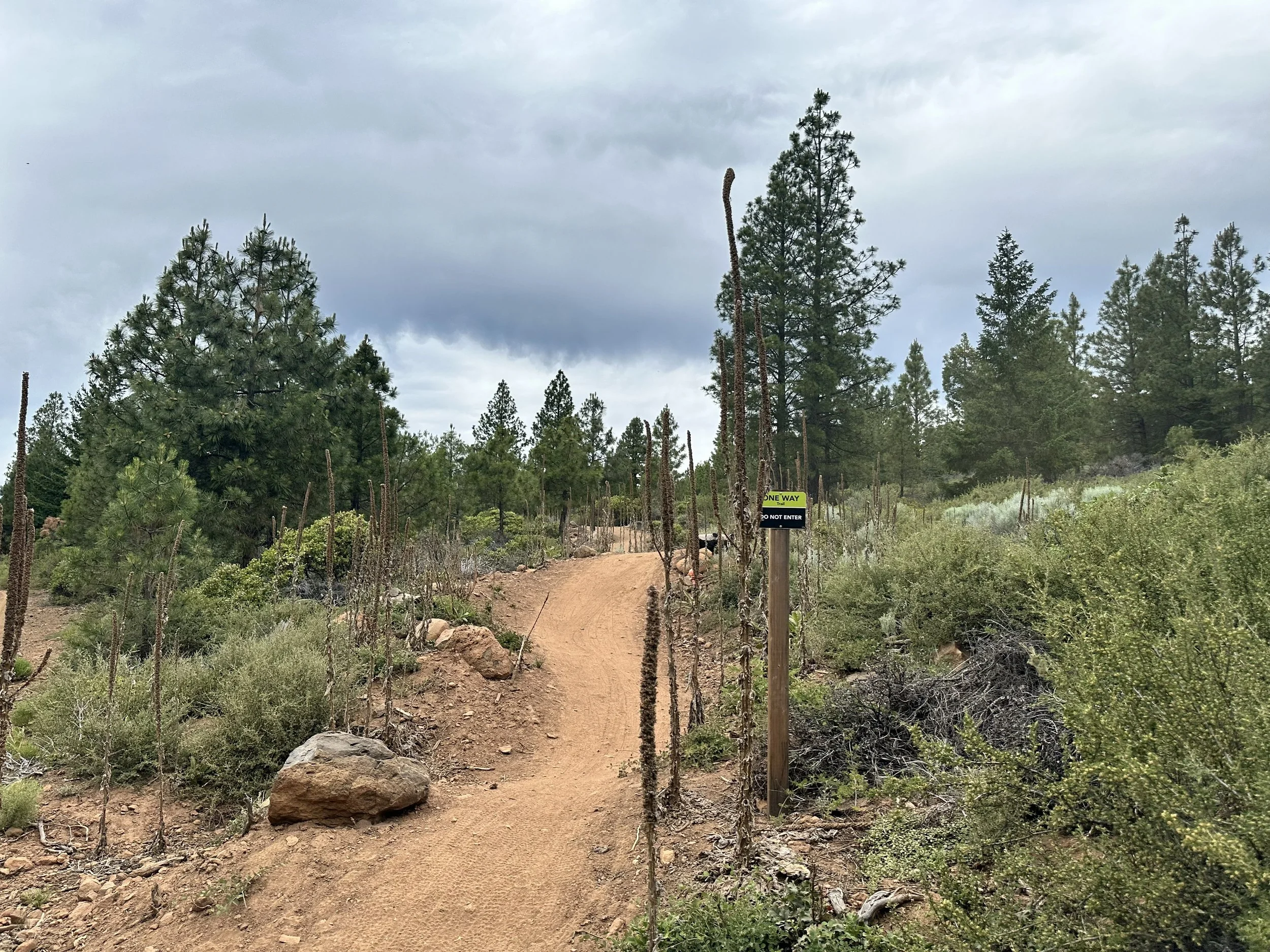 Spence Mountain Community Forest, Klamath County, Oregon