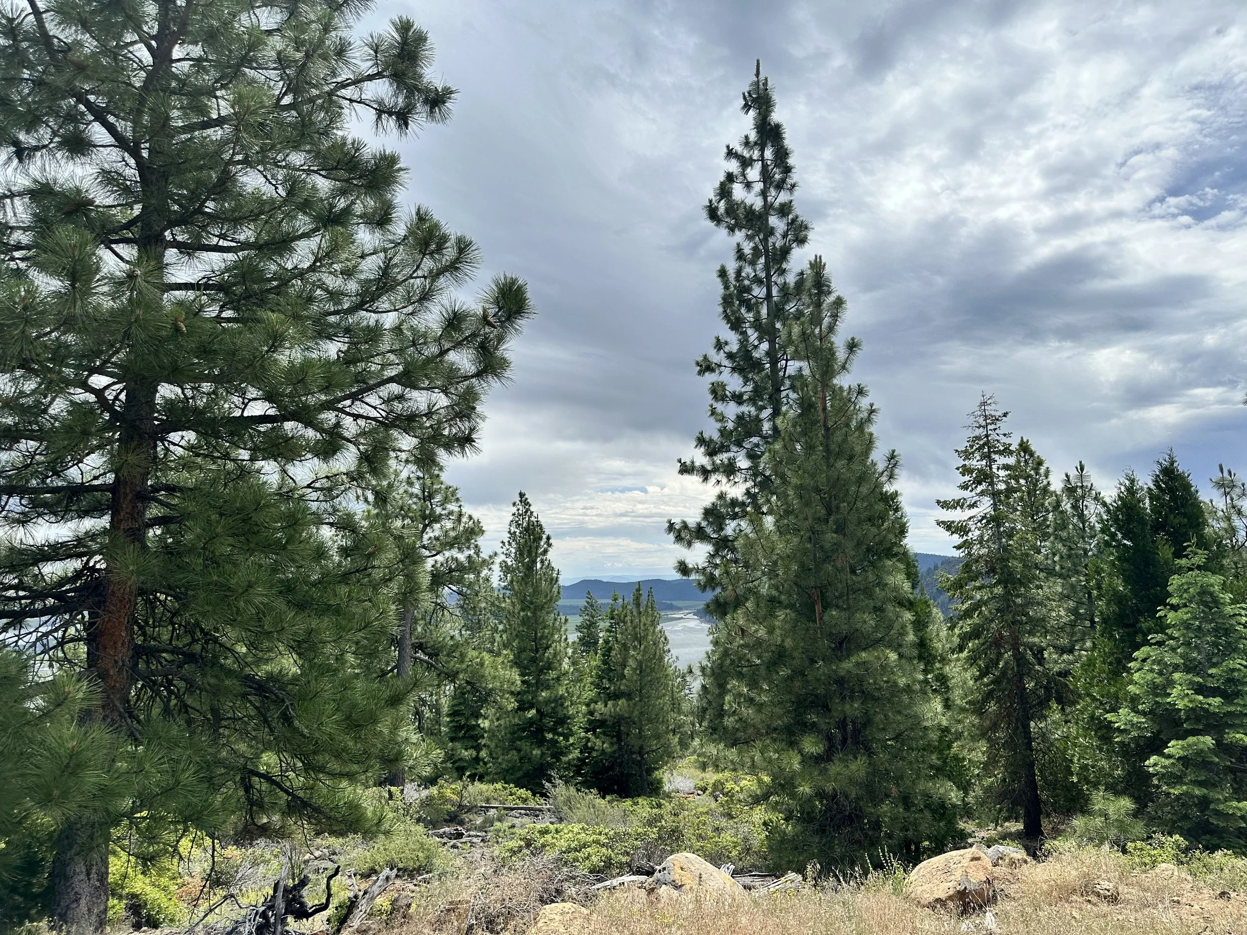 Spence Mountain Community Forest, Klamath County, Oregon
