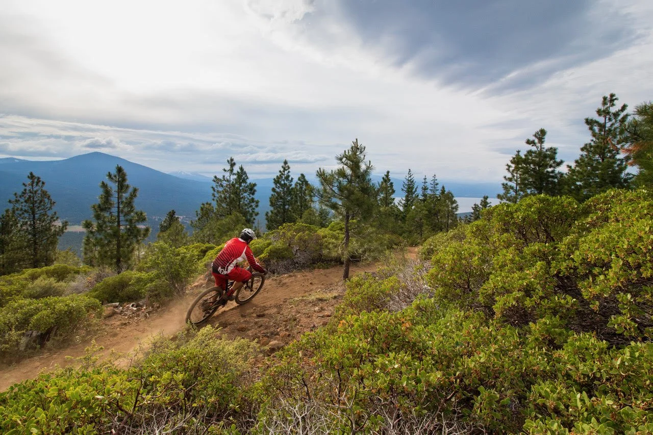 Spence Mountain Community Forest, Klamath County, Oregon. Credit: Klamath Trails Alliance.