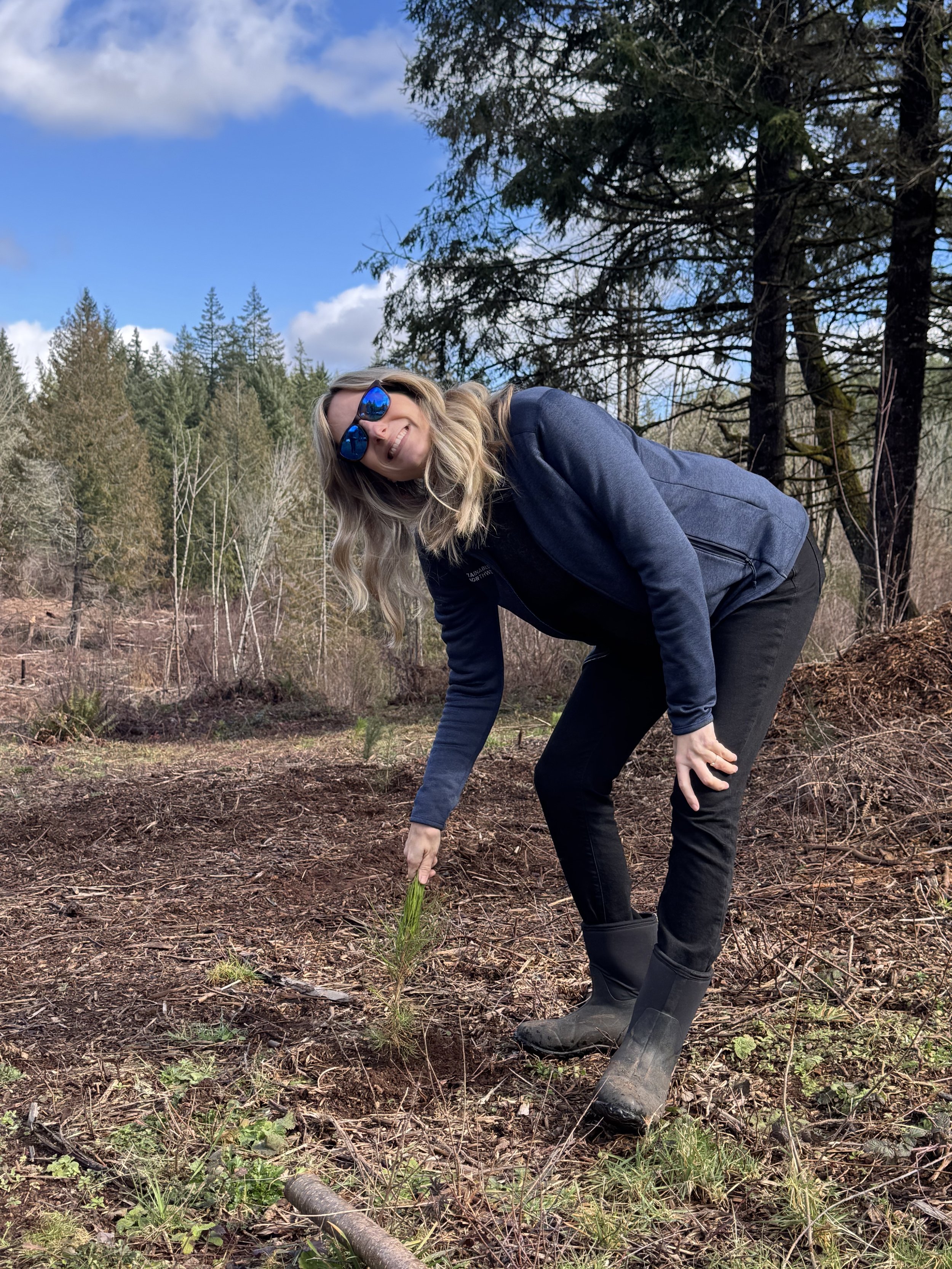  Planting a young tree seedling, supporting the next generation of forest growth and restoration. 