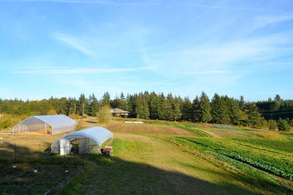  Full Plate Farm in Ridgefield, Wash - Photo courtesy of Full Plate Farm 