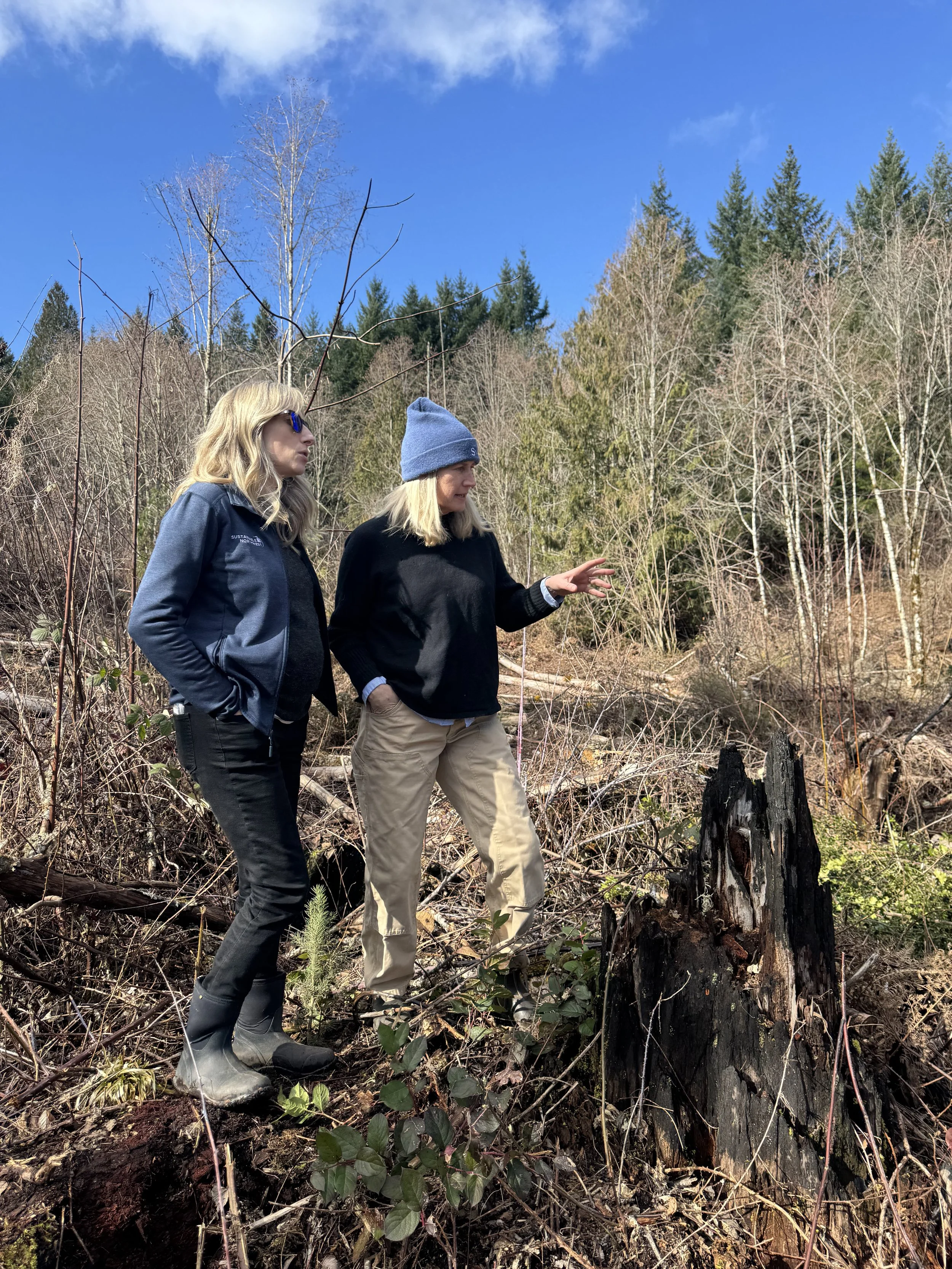 The essential guidebooks for PNW landowners to restore forest health after megafire