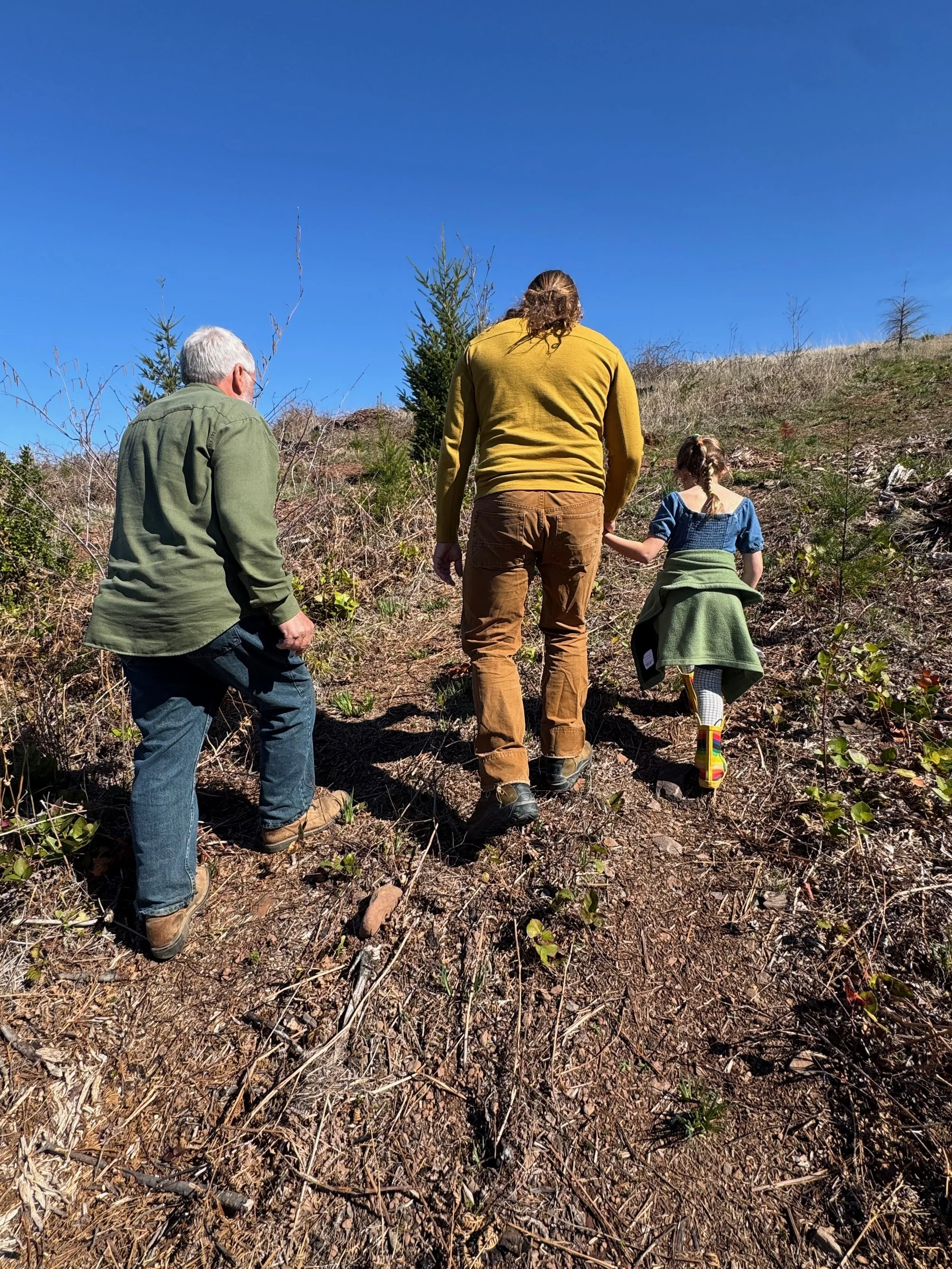 How One Oregon Family is Restoring Their Forest After the 2020 Labor Day Fires