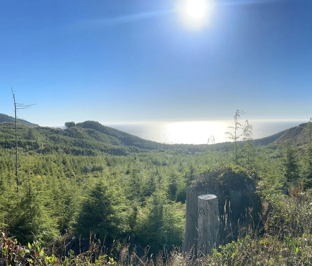  View across the Lower Jetty Creek watershed near Rockaway Beach, where working lands and forest ecosystems meet.  Photo courtesy Sustainable Northwest.   