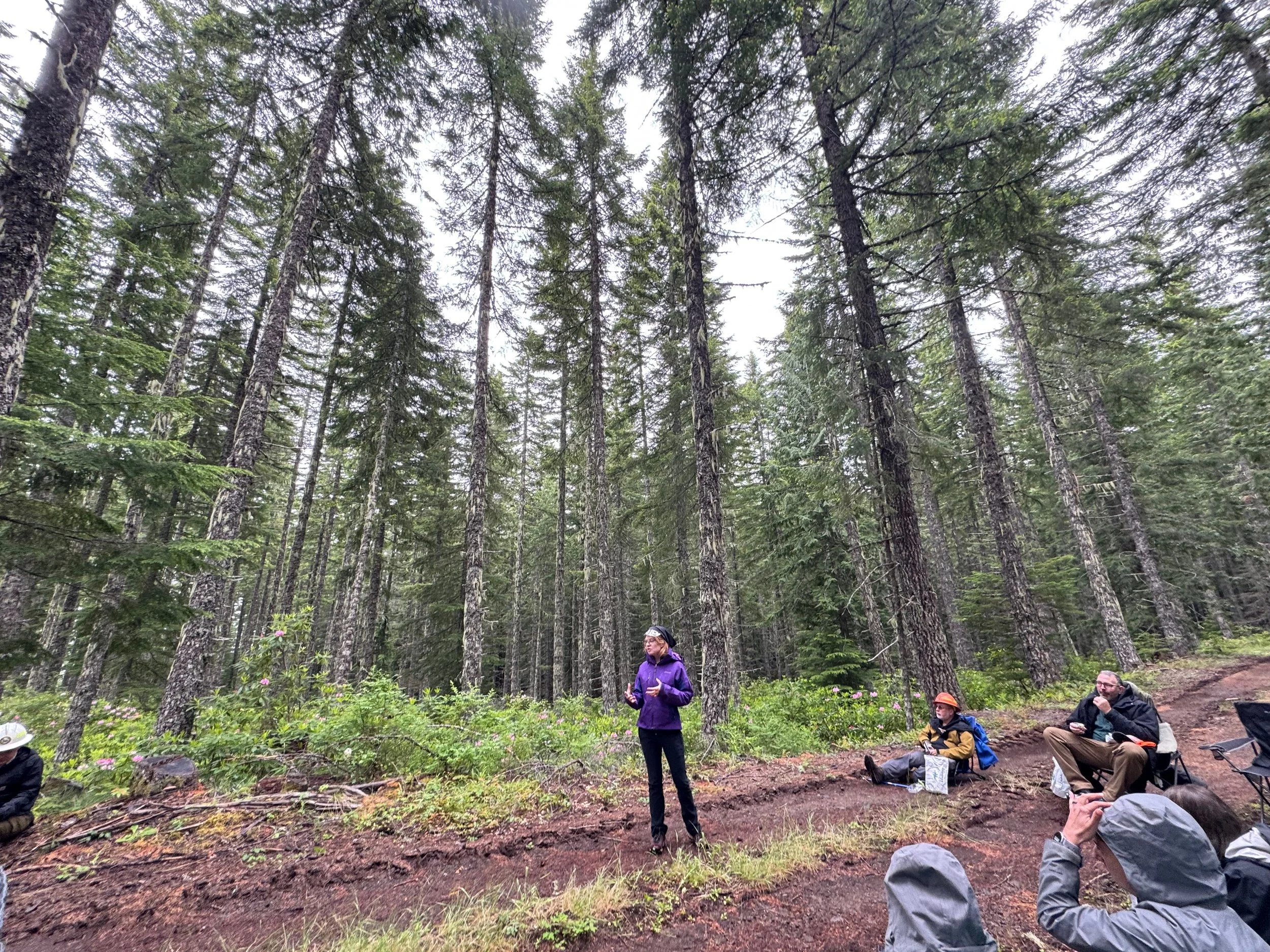  Sustainable Northwest's Vernita Ediger at the Cub thinning project on the Willamette National Forest, where thinning occurred in 2013. 