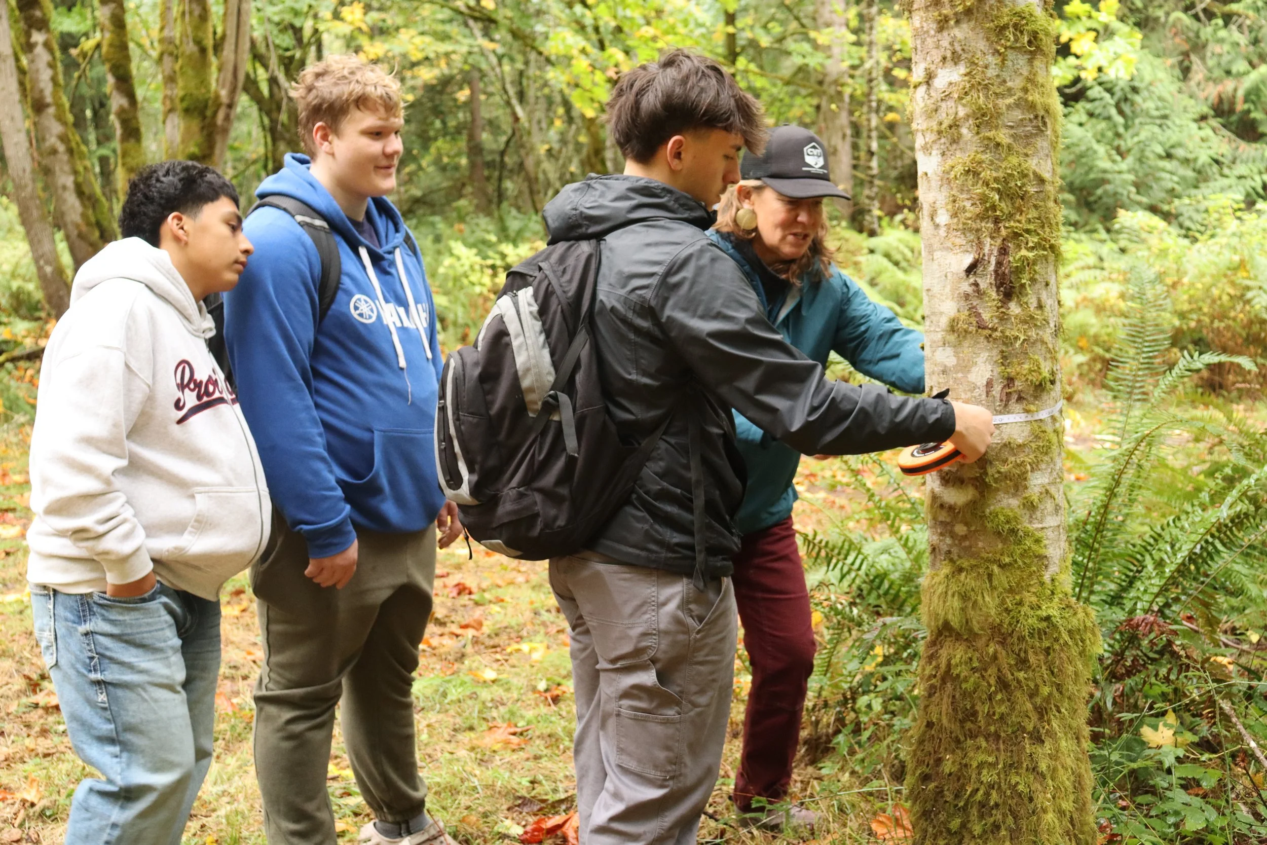 Students using a clinometer to measure the height of a tree - wit Devon Buckham of Jefferson Land Trust and Daniel Evans of Chimacum Schools - Tree to Table Saw program - courtesy Jefferson Land Trust