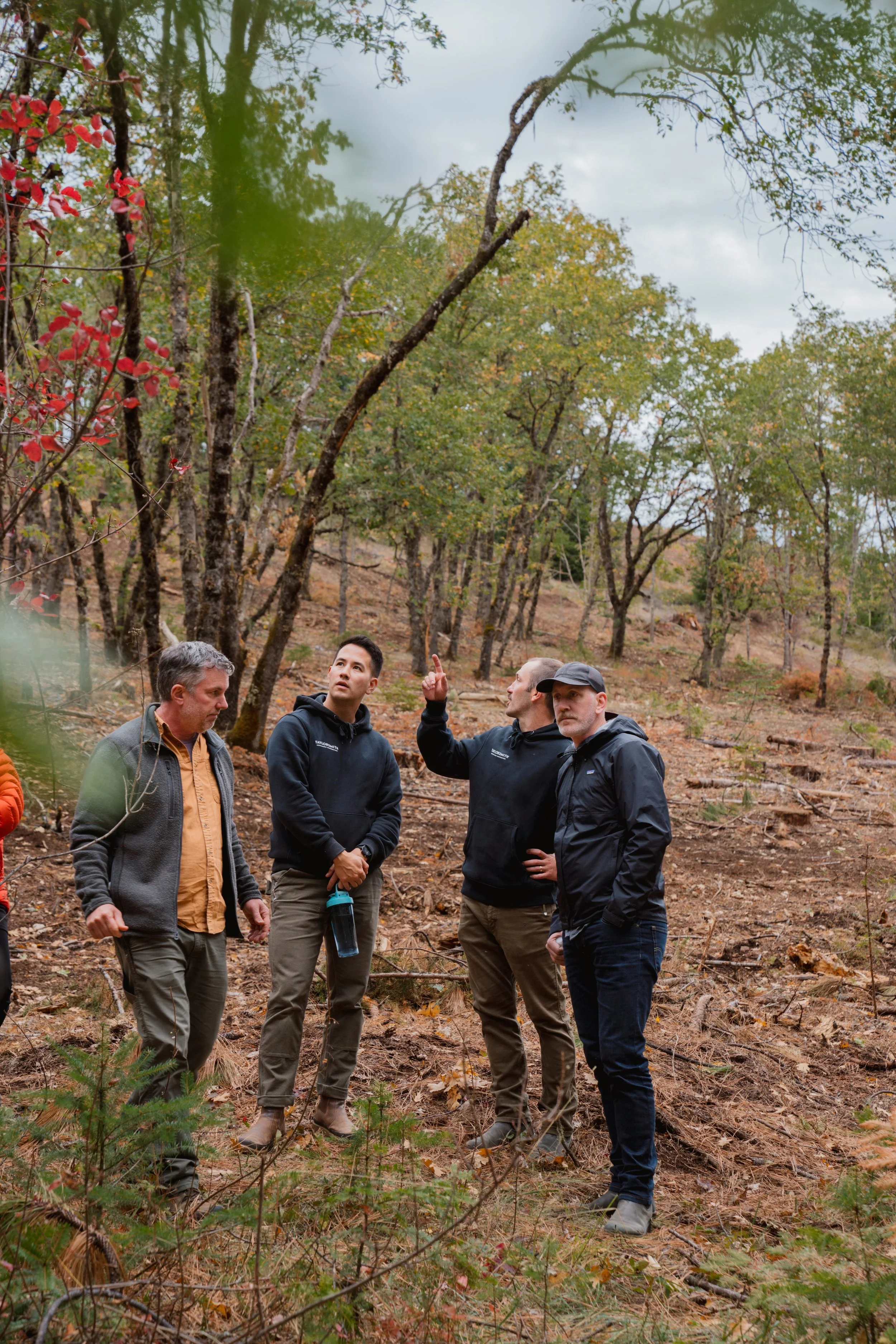 A tour at forestland of Cow Creek Band of Umpqua Tribe