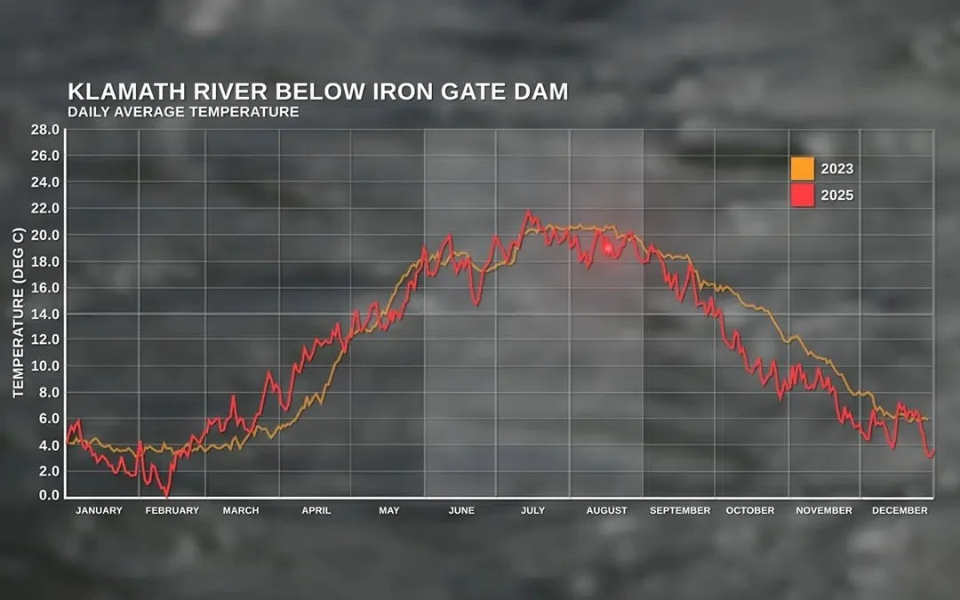 Chart of daily average Klamath River water temperature below Iron Gate Dam, comparing 2023 with dams in place to 2025 after dam removal