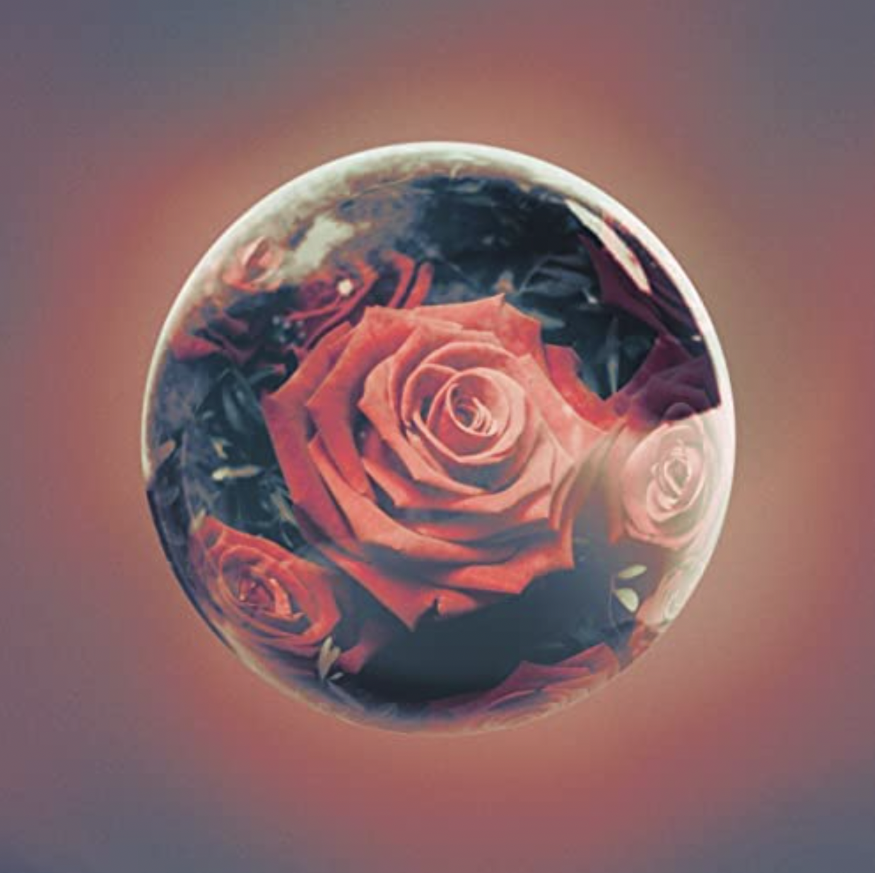 “Nobody Like You” by Deorro and Lost Boy out now! 