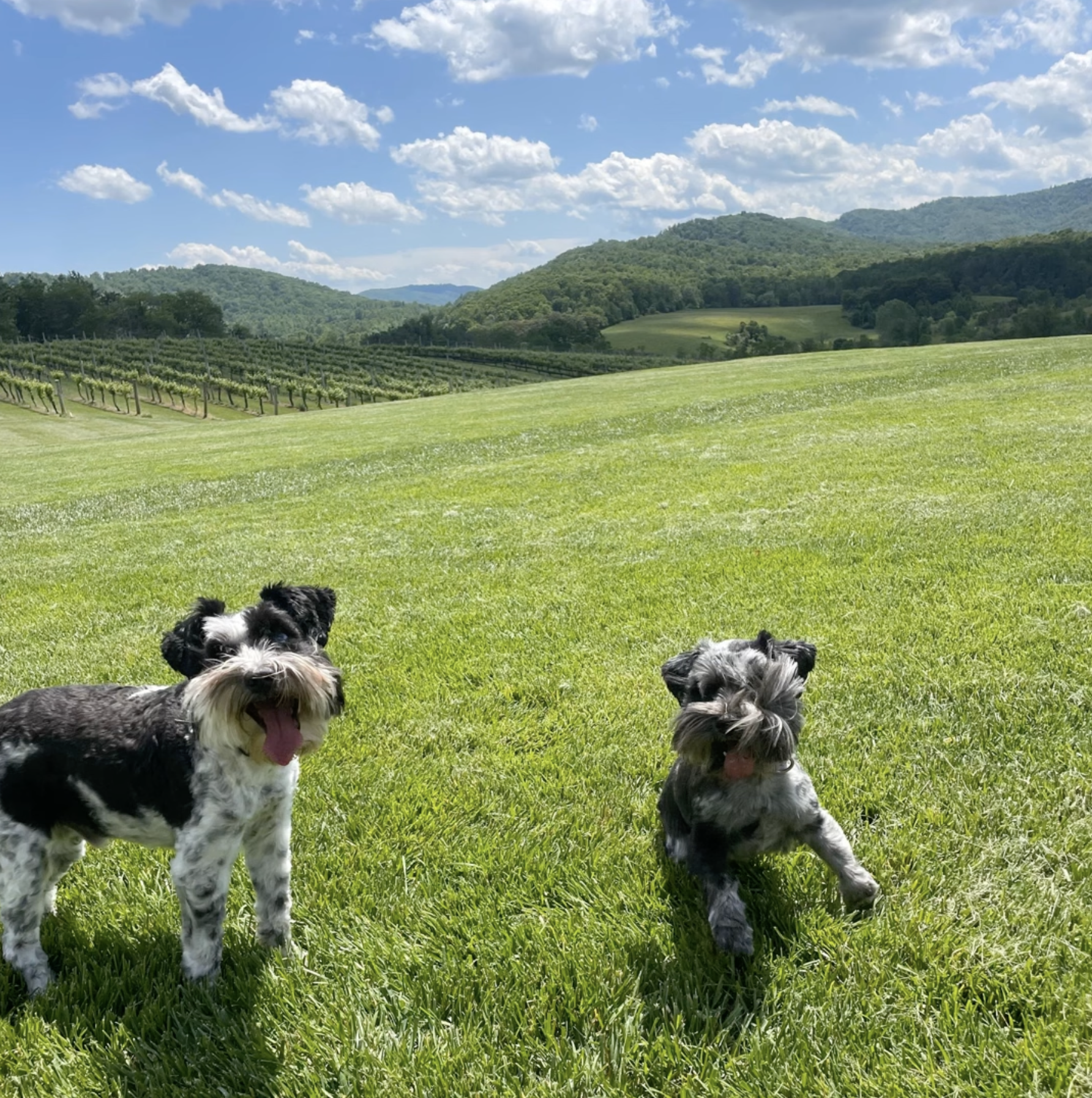 “hahaha” by Exum out now!