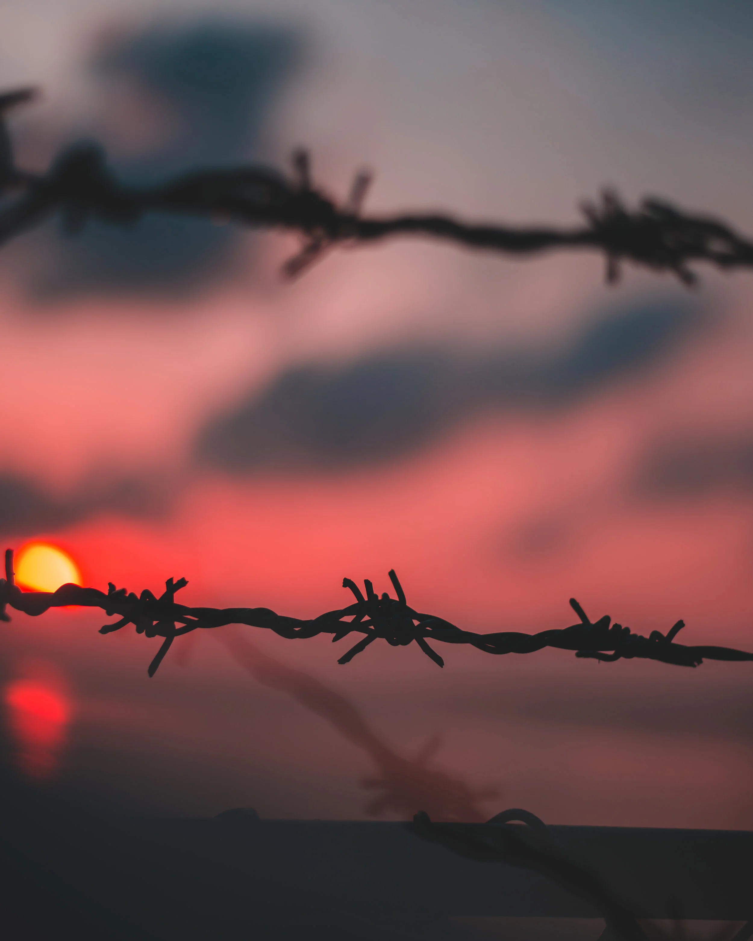 The Barb-Wire or the Future