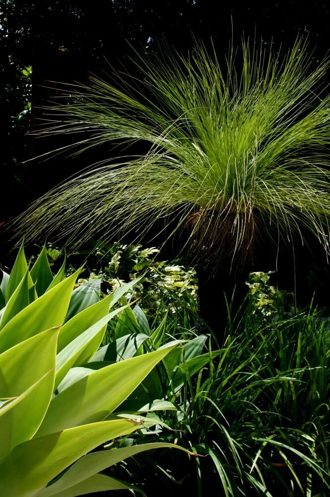 Connell's Point Garden.jpg