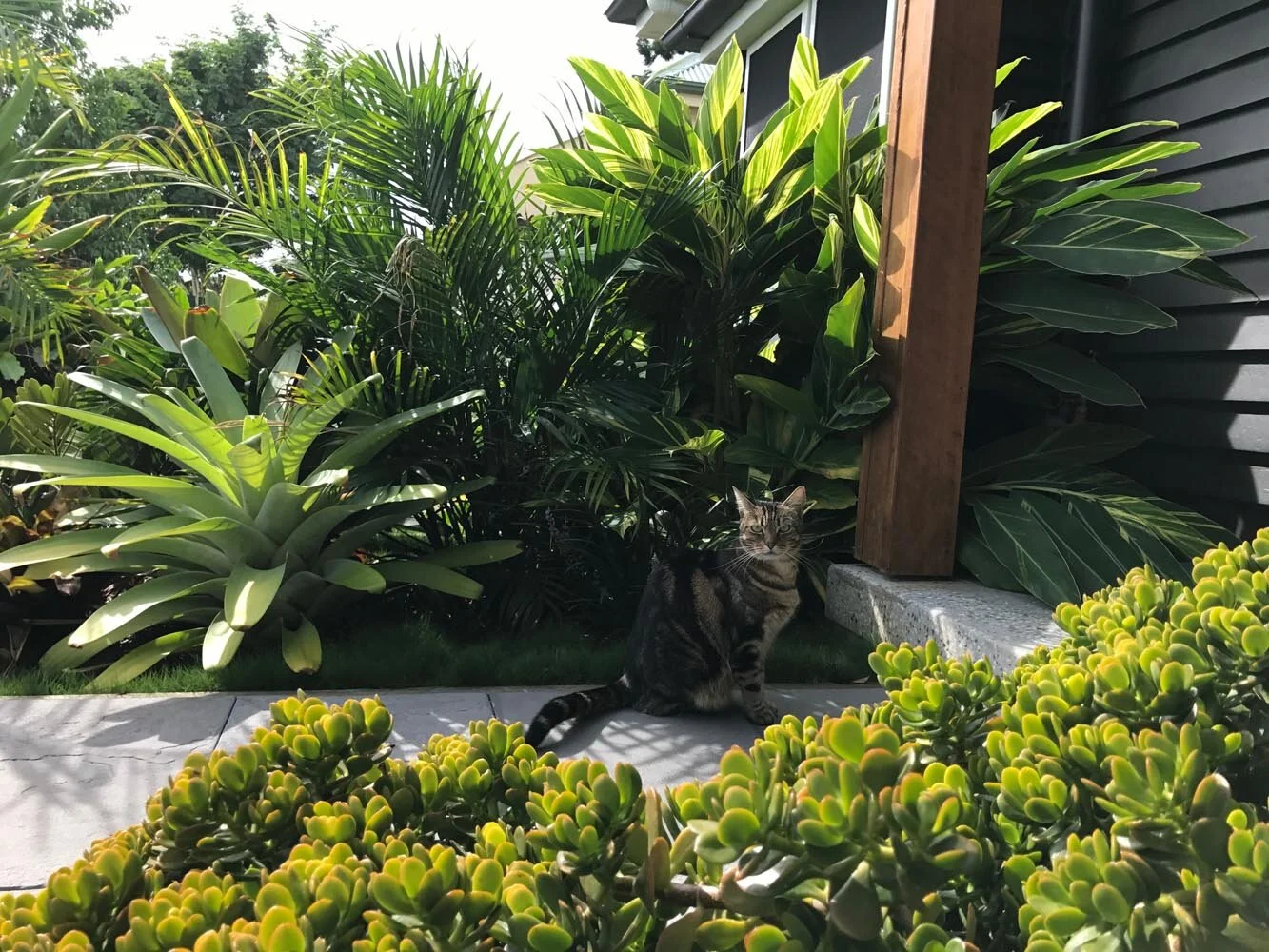 Indooroopilly Garden