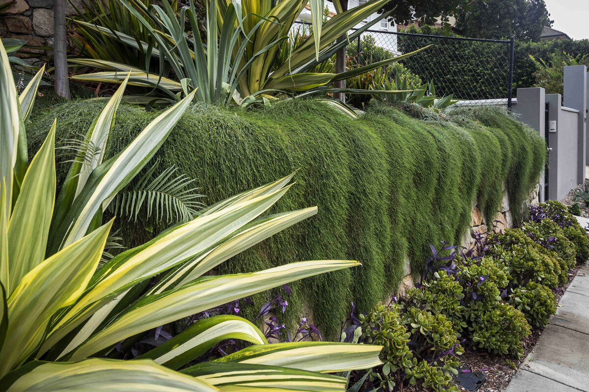 My Verandah Subtropical Gardens Brisbane