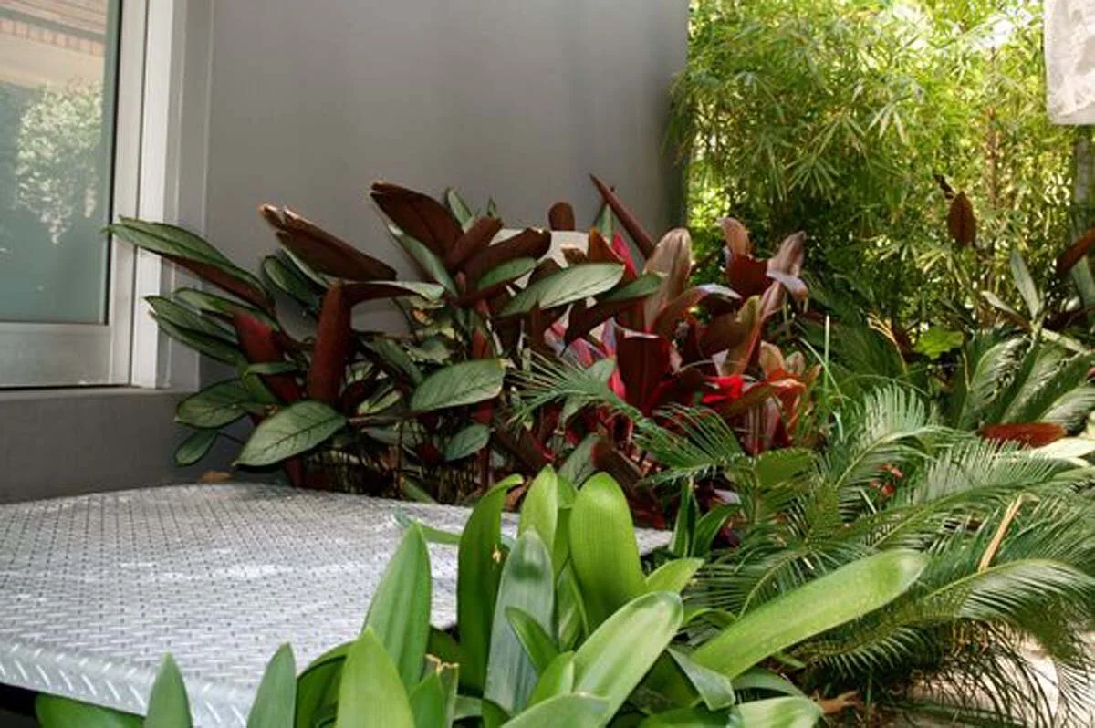 small garden brisbane.jpg