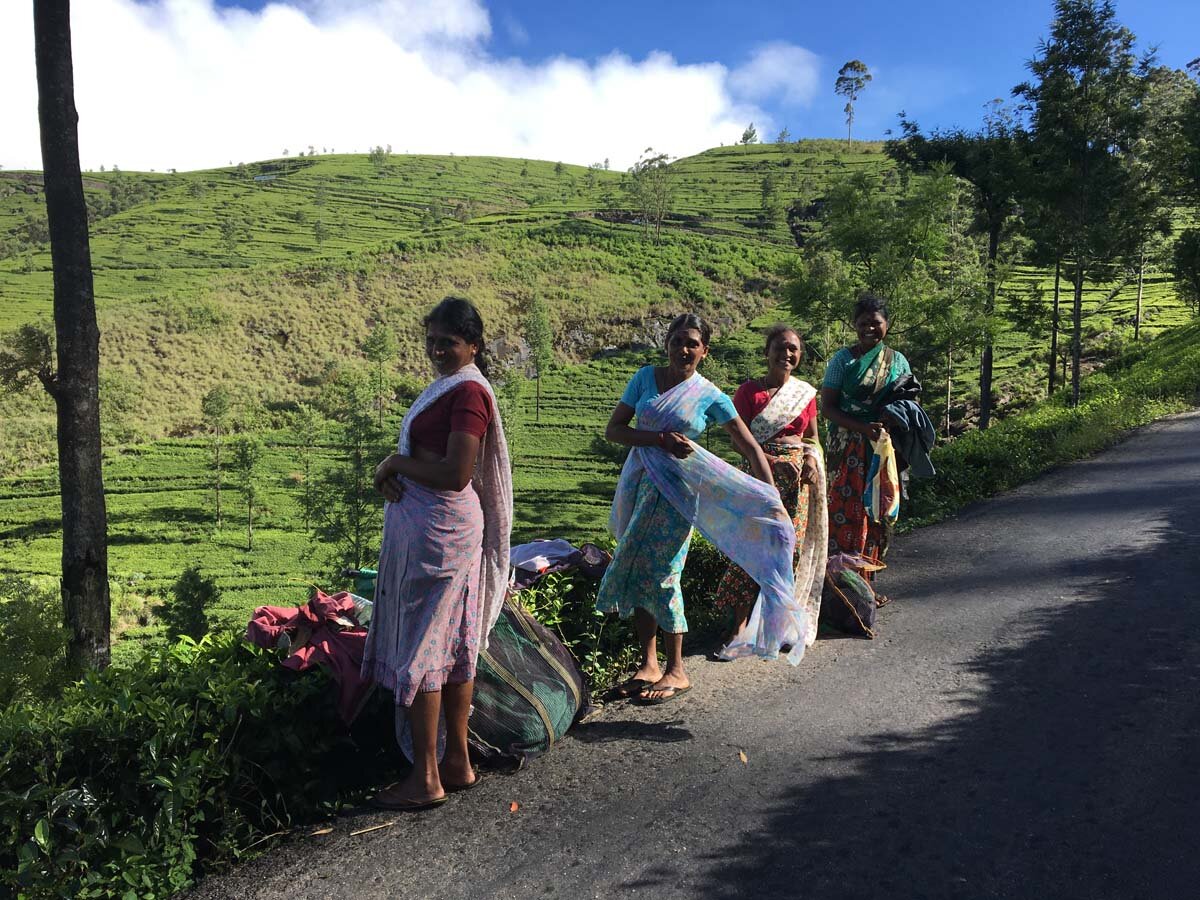 Sri Lanka - An island of Gardens