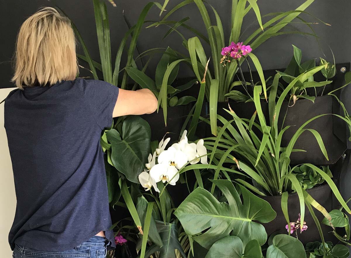 Small Space Gardening Solutions | Vertical Gardens Brisbane