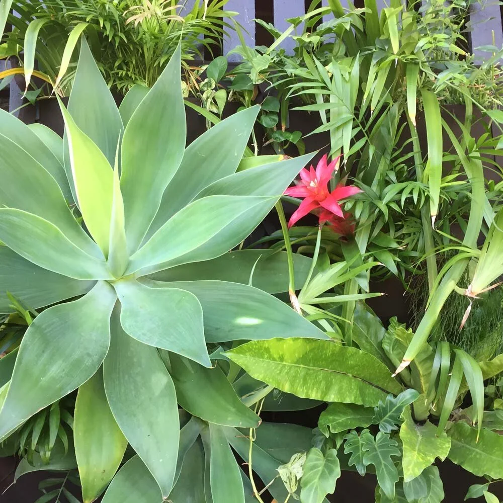Practical Small Space Gardening Solutions Gallery View