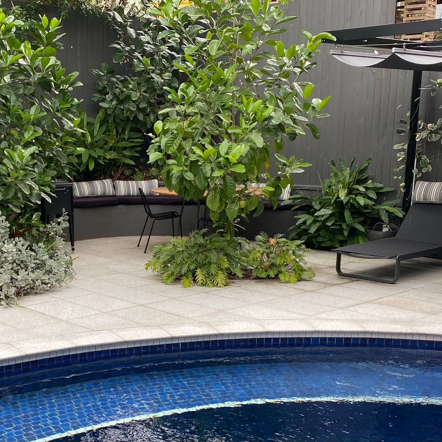 Before &amp; After: Incompetent, disinterested builders left my client with a pool surrounded by drainage troubles. My Verandah and @rubiconlandscapes changed her rubble pit into an awesome little garden.

#gardendesigner #myverandah #brisbanegardend