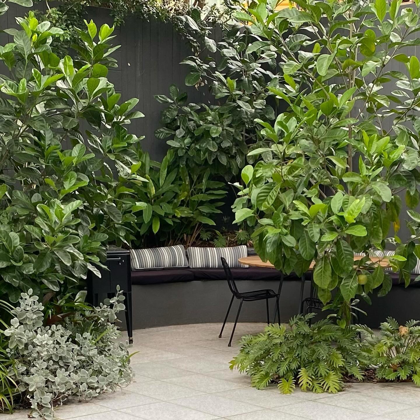 Before and after: I love creating zones in a garden. Even small gardens can feel more deliberate and spacious🌿

#gardendesigner #myverandah #brisbanegardendesign #beautifulgardens&nbsp;
#landscapearchitect&nbsp;
#gardendesign&nbsp;#landscapedesigner