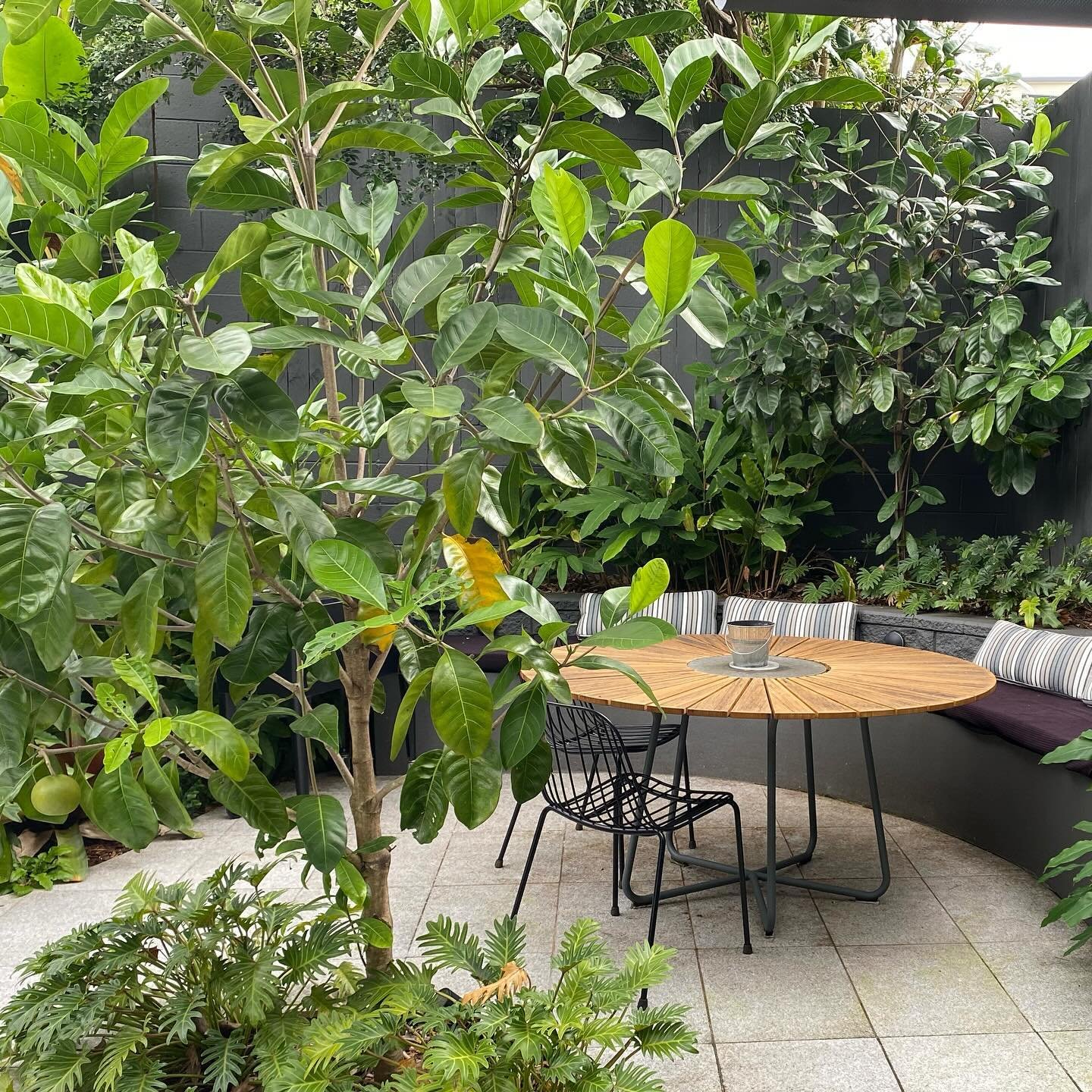 Before and after: We turned this ugly corner of the garden into a lovely outdoor dining area by paving, adding built in seating in front of an existing retaining wall, rejuvenating and painting fences one colour and planting with a lush subtropical g