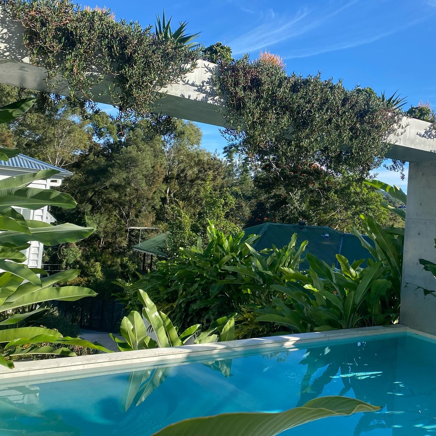 the architecture invites the landscape to interact and they play so nicely together 💚

@daharchitecture @rubiconlandscapes #myverandah #brisbanegardendesign  #beautifulgardens&nbsp;#landscapearchitect&nbsp;#gardendesign&nbsp;&nbsp;#garden&nbsp;#bris