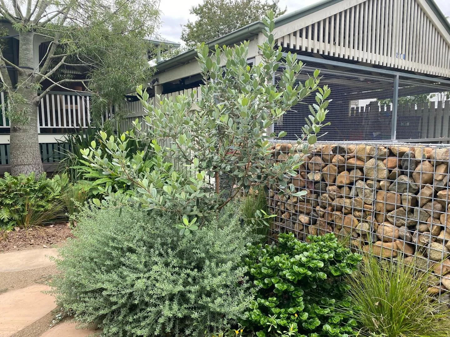 This productive front garden is open and generous by design. The layers of planting soften the edges and connects it to the surrounding landscape, inviting the neighbourhood to enjoy it as much as its owner.

#gardendesign 
#landscapearchitect 
#fron