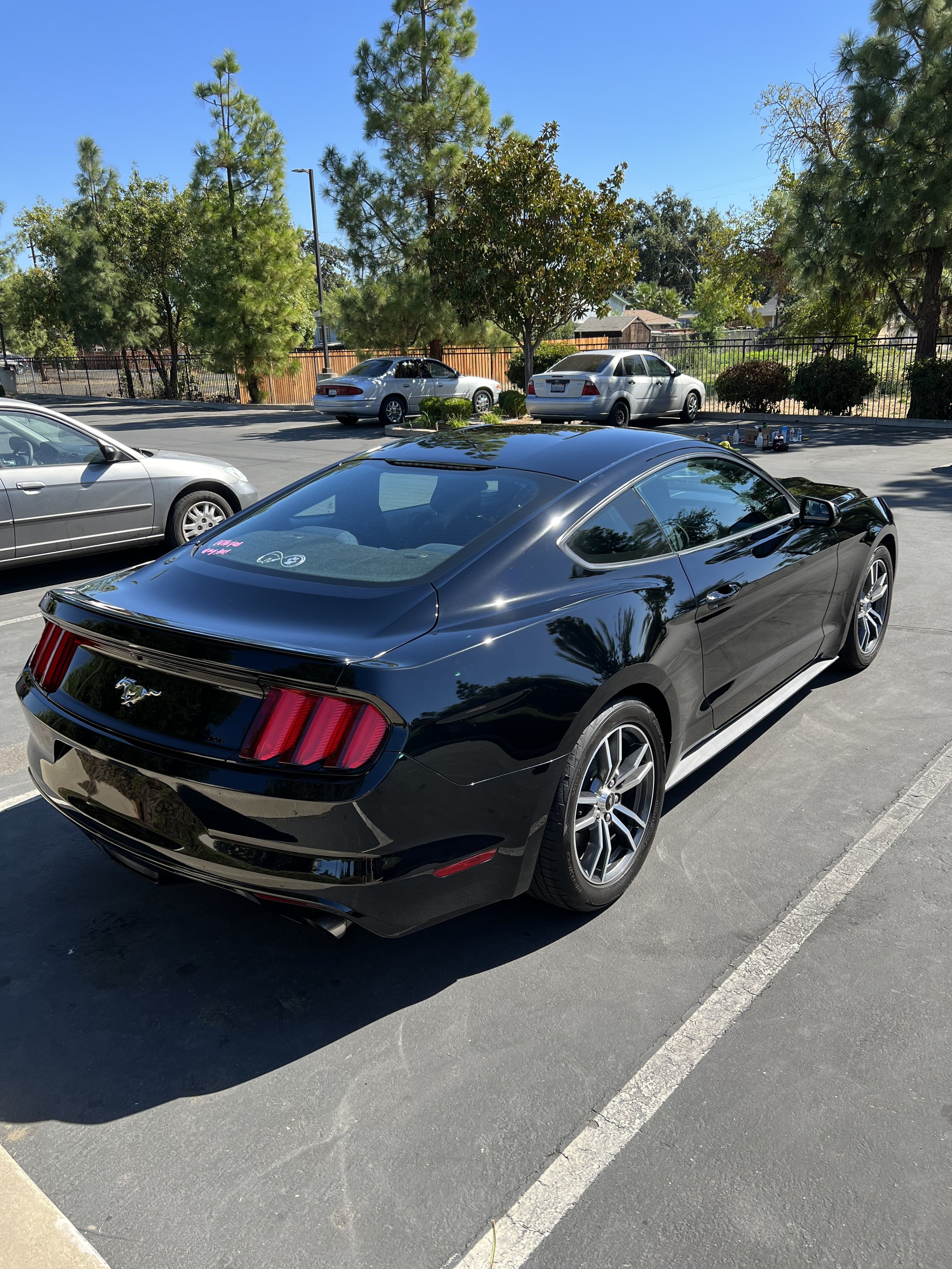 Mustang Ceramic.jpeg