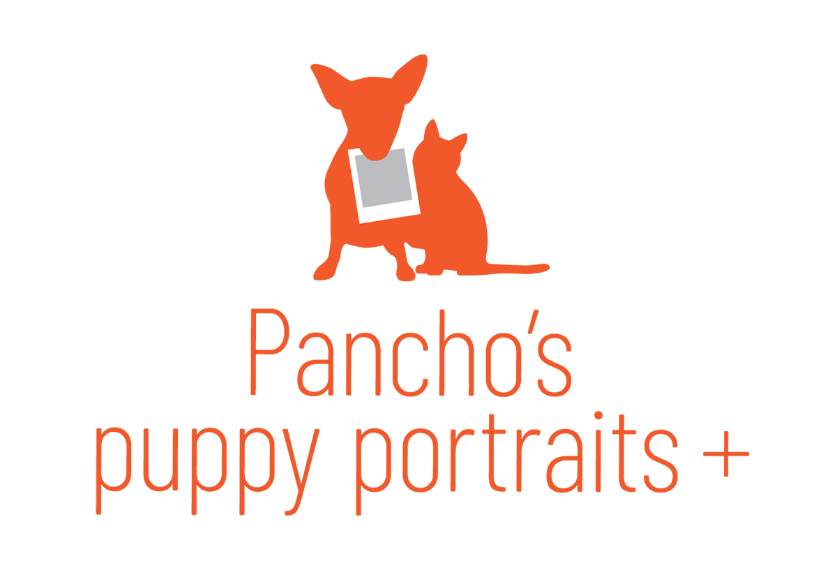 Pancho&#39;s Puppy Portraits