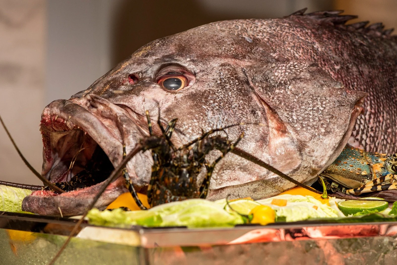 WhatsApp Image 2023-06-11 at 20.37.57.jpeg