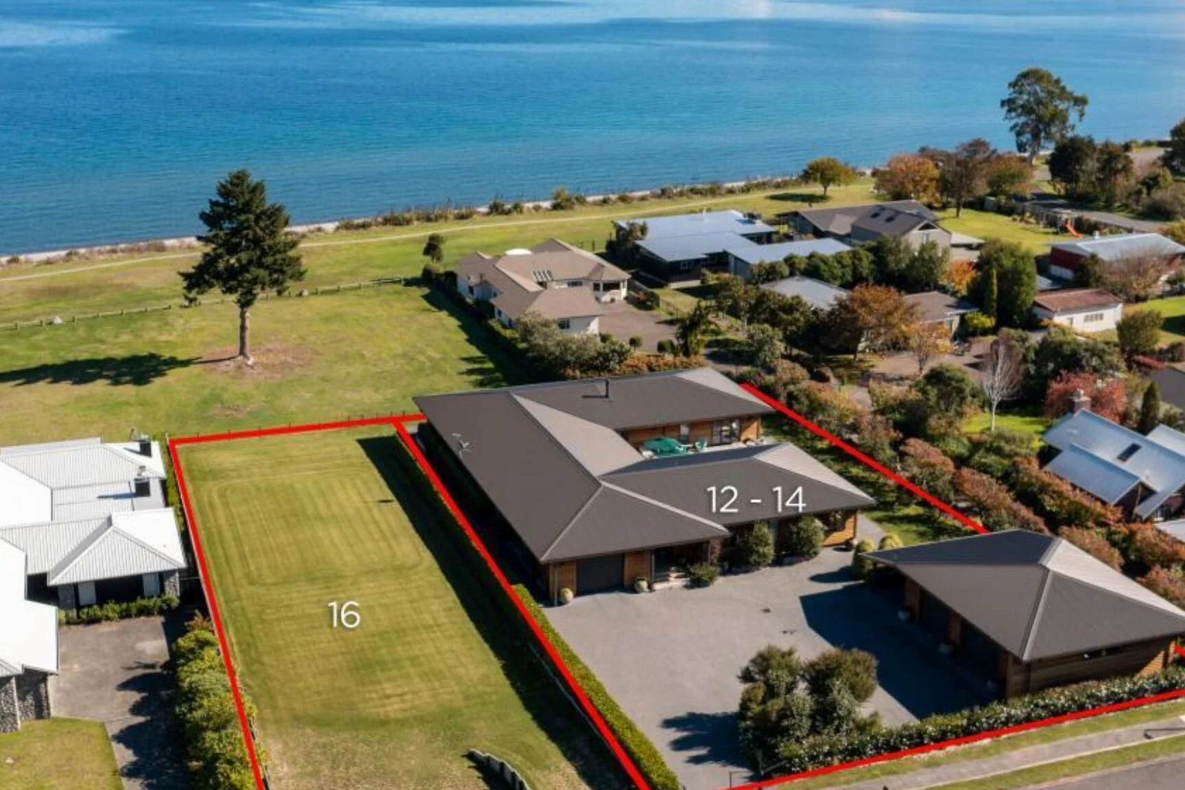 Alison Whittle Bayleys Taupo Taupo Real Estate Agent