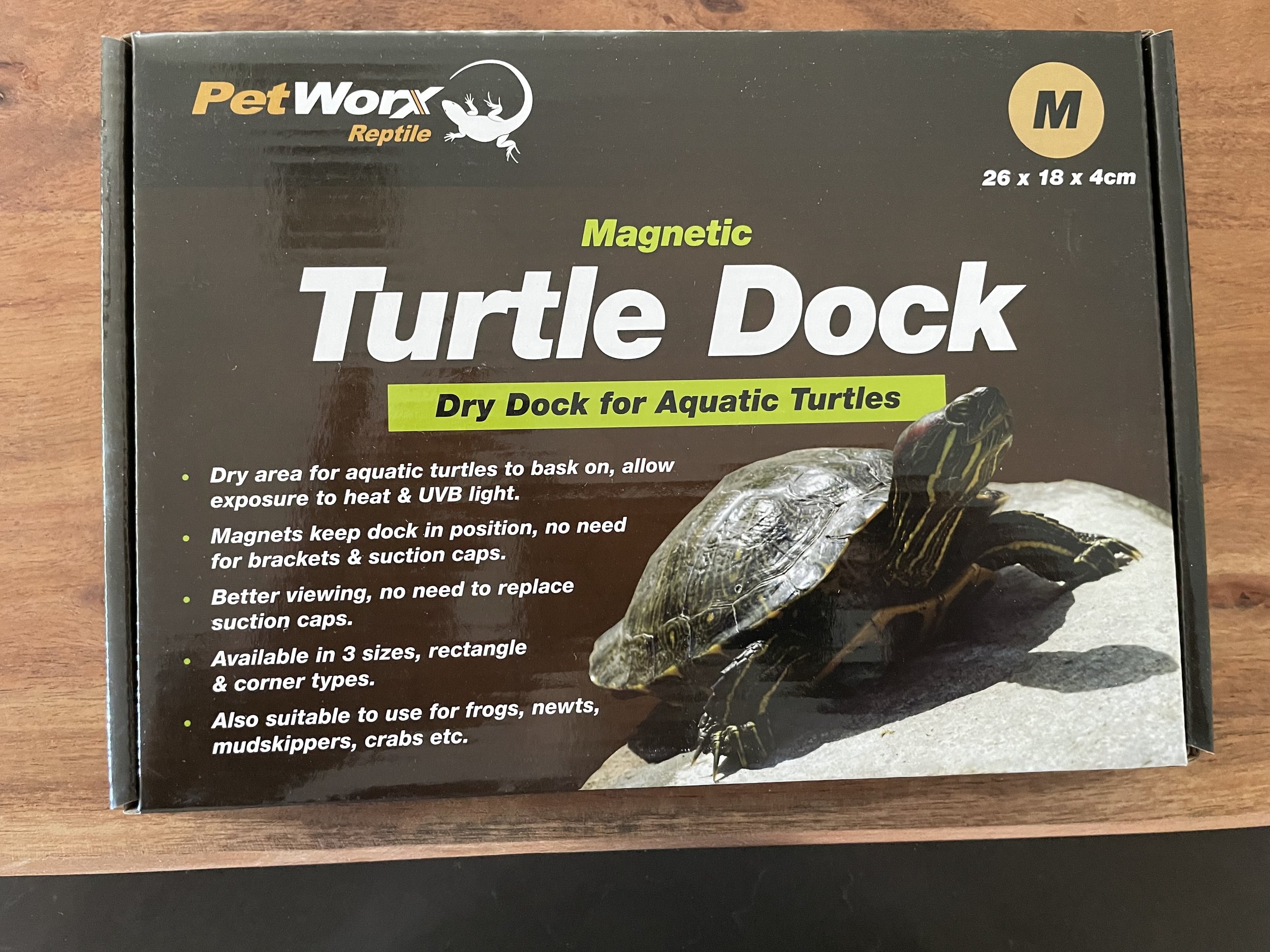 turtle dock medium.jpg