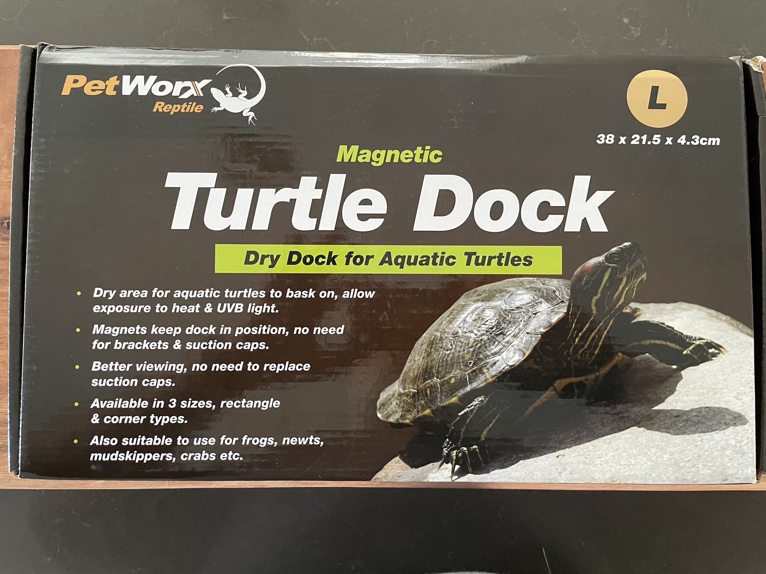 Turtle dock large.jpg