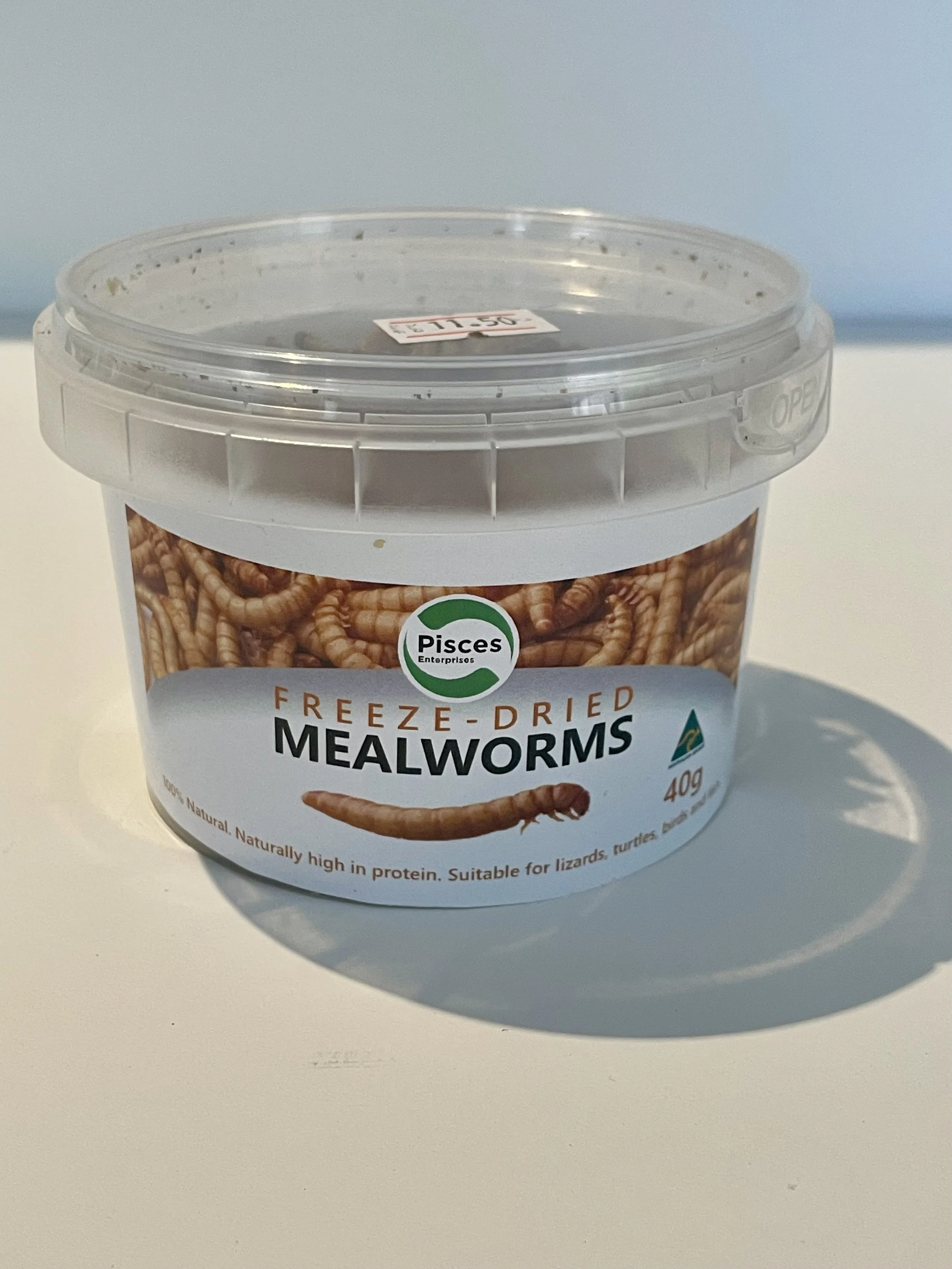 Mealworms.jpeg