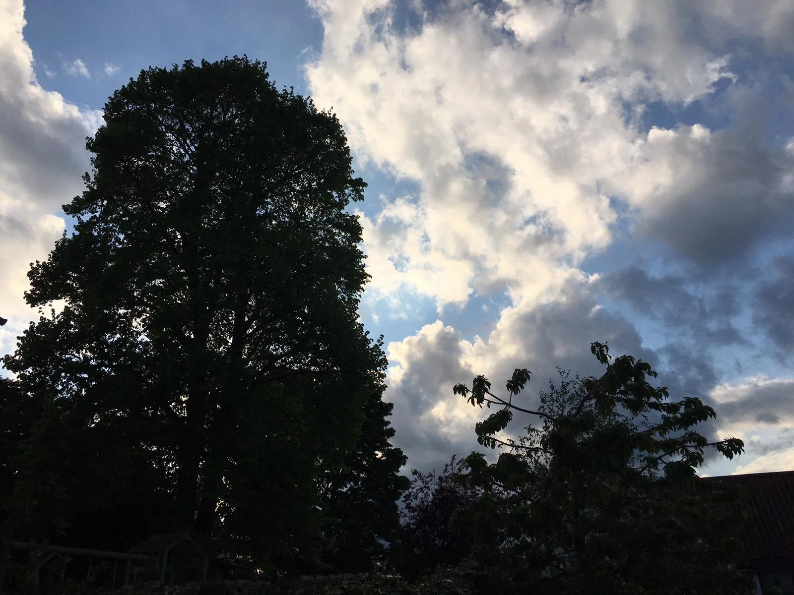 Nicola Bennett - Story of today was sun-torrential rain -hailstones - Kelvedon, Essex, UK.jpg