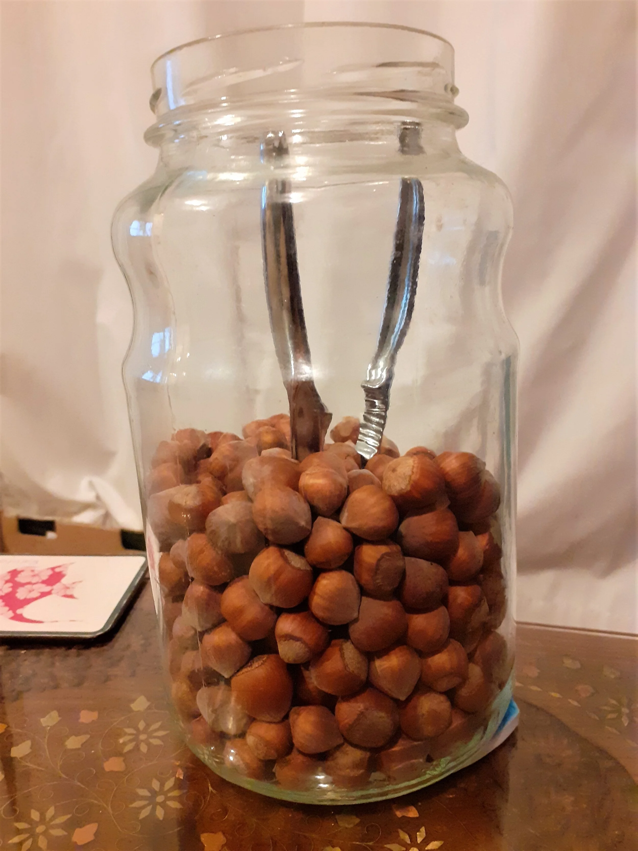 Nancy Bramley-Thompson - Hazelnuts - Trentham, NZ.jpg