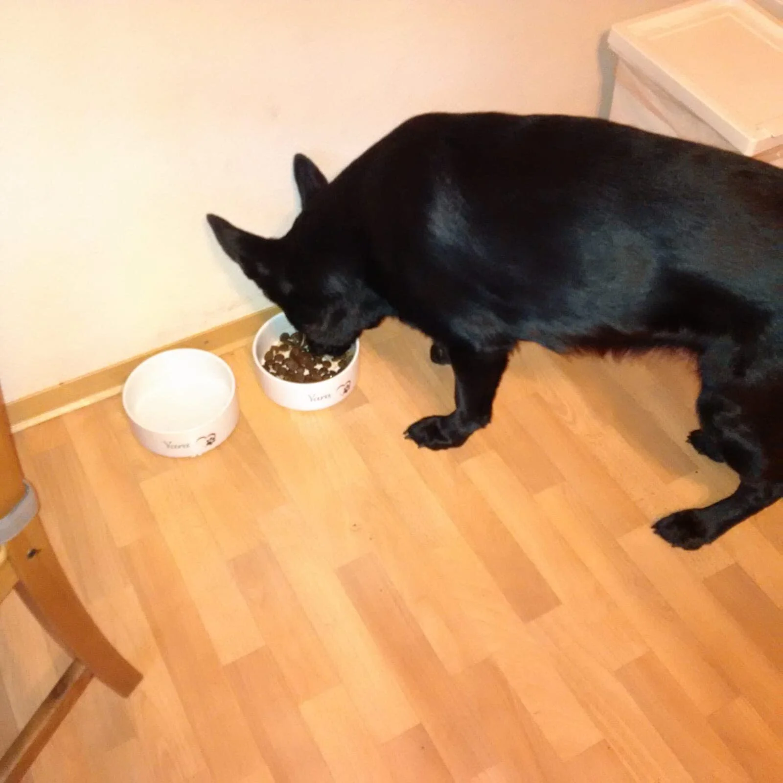 Other Dembinsky - Germany, 6pm.jpg