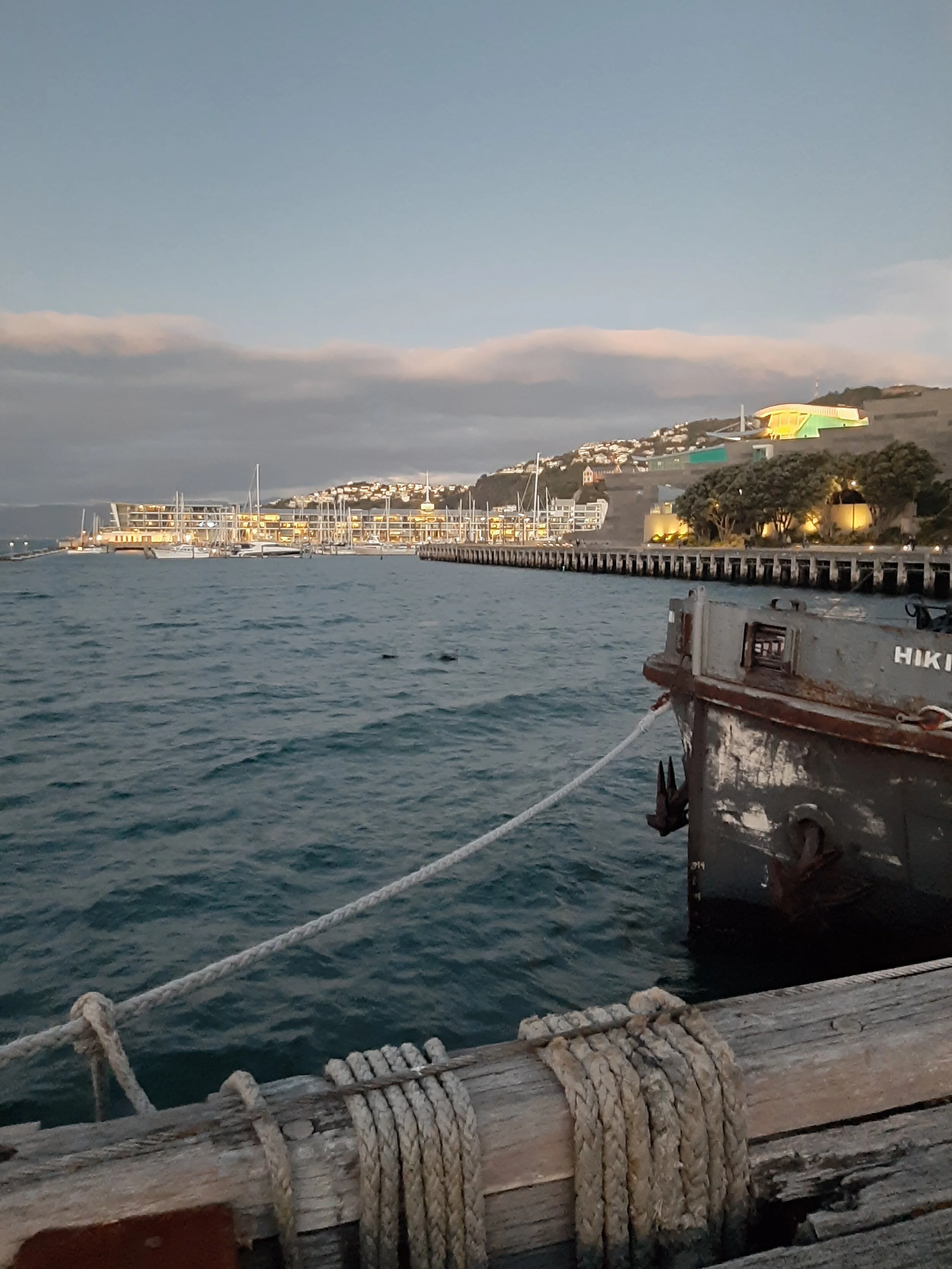 20200501_175227 (1).jpg