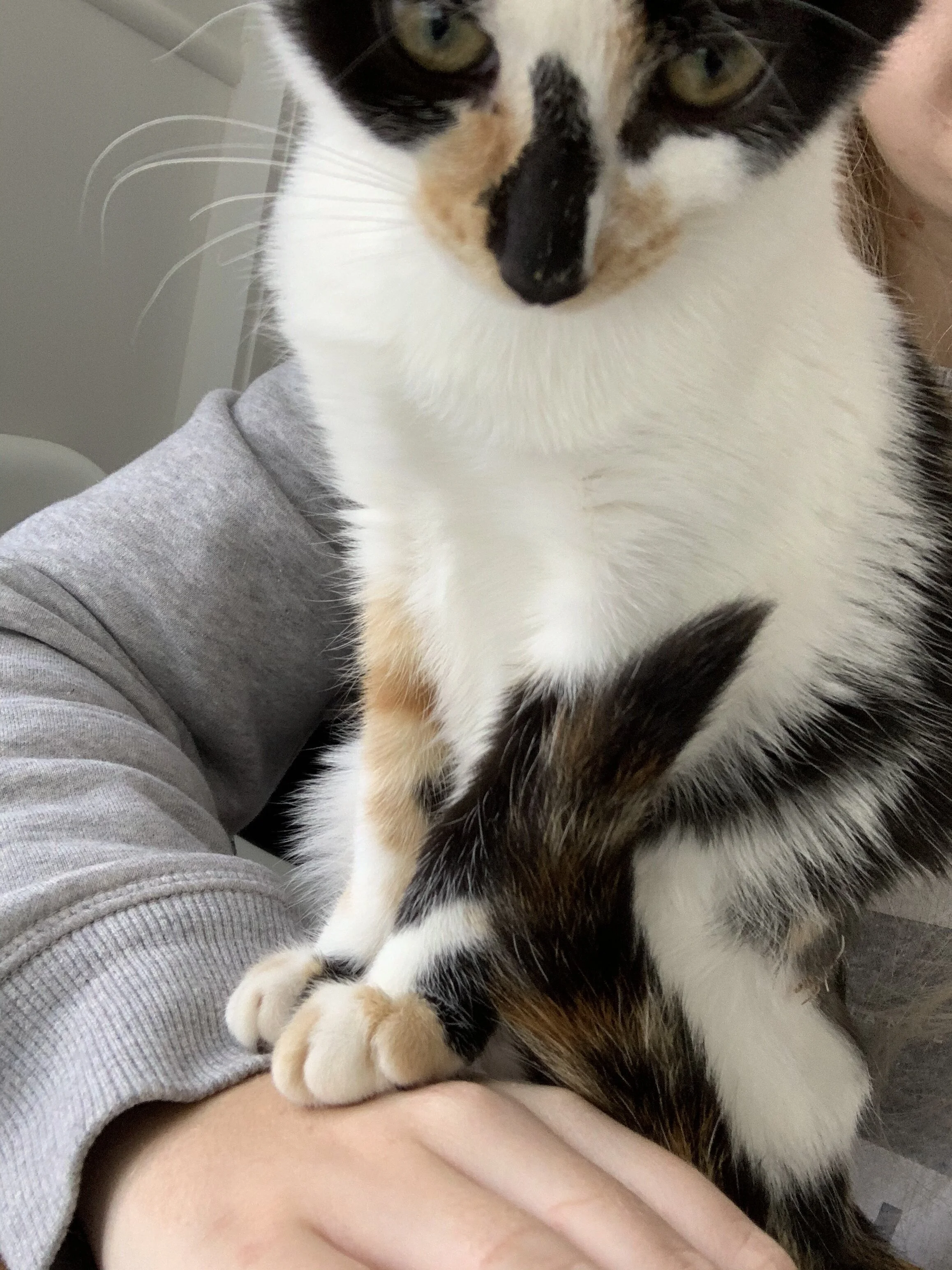 Kylie Collins Something that brings me joy.jpeg