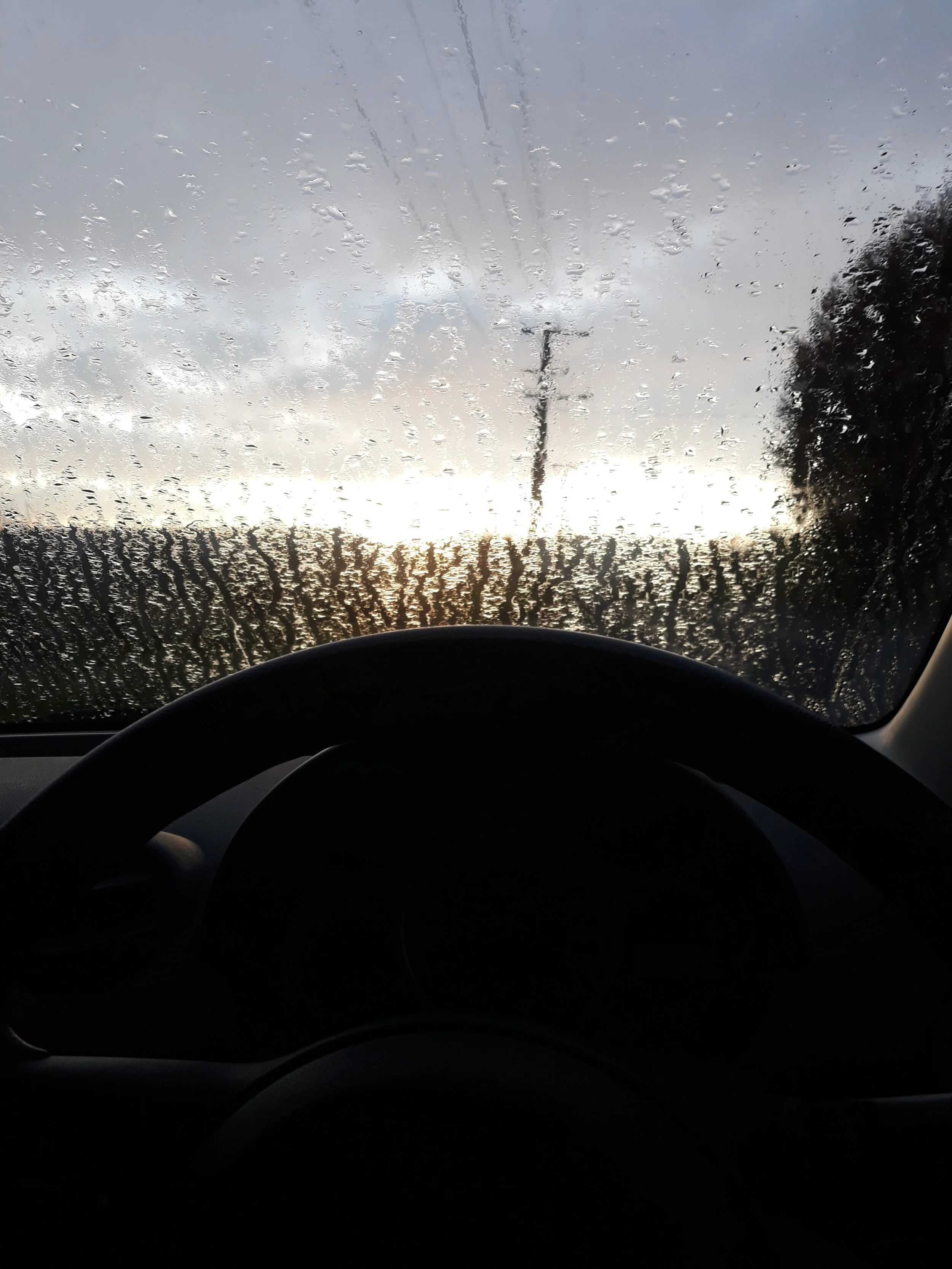 Neve Beens Level 2.jpg